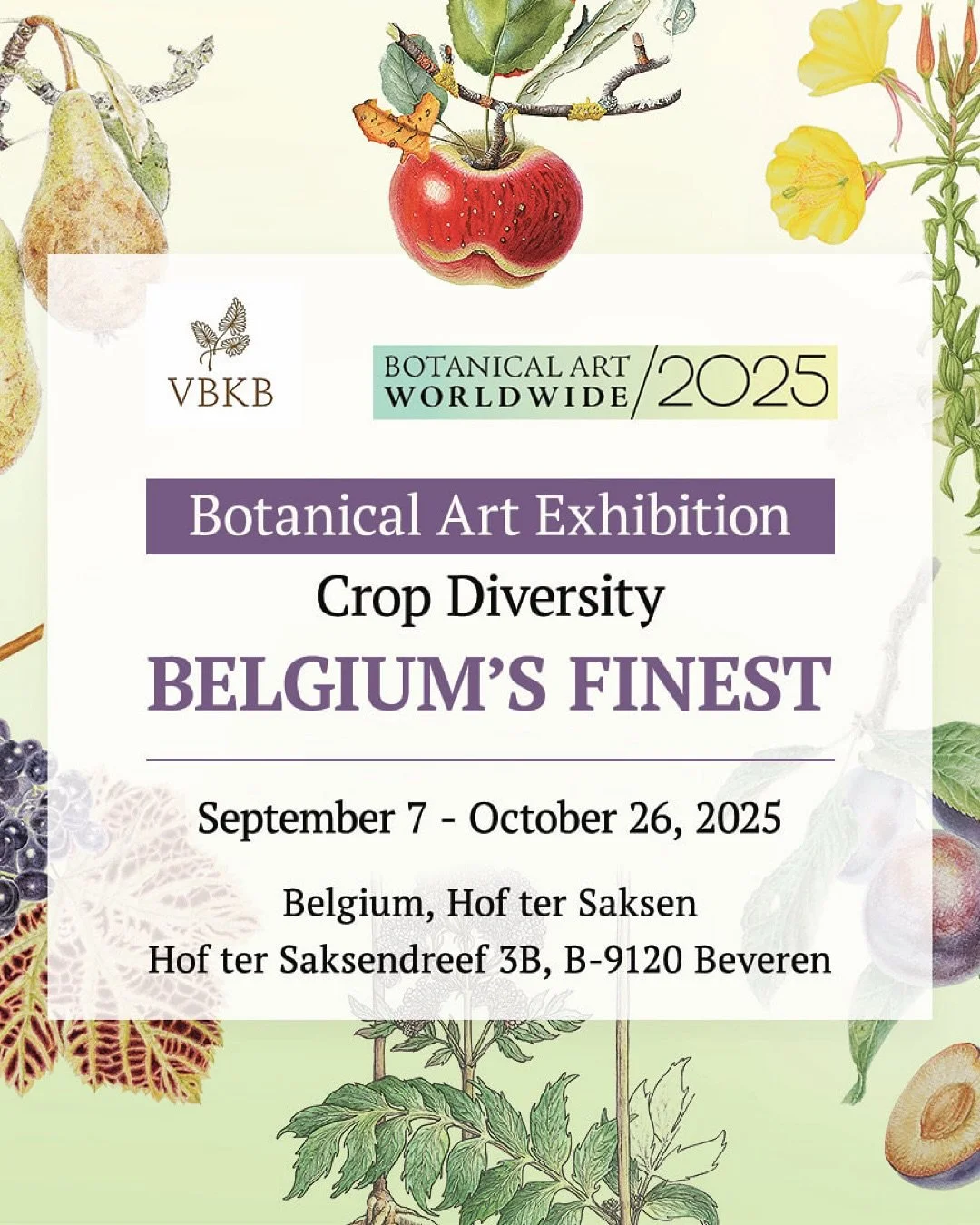 [ENG] I&rsquo;m happy to announce the opening of my first international exhibition. I have the honor of being the sole botanical artist representing France in Belgium for Botanical Art Worldwide in 2025. My painting &ldquo;Sechium edule&rdquo; will b