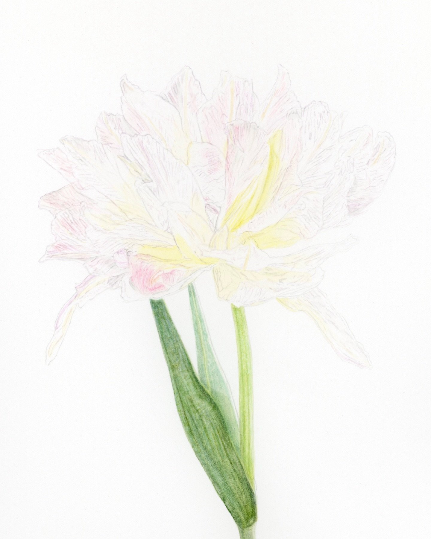 [ENG] Lately I&rsquo;ve been reminding myself to stay patient with my process. As a realist painter, my work takes time (sometimes a lot of it), and rushing never leads anywhere good. Still, there are moments when the slowness feels heavy and exhaust
