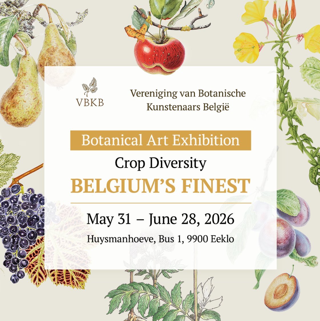 Crop Diversity–Belgium’s Finest: a botanical art exhibition in Belgium
