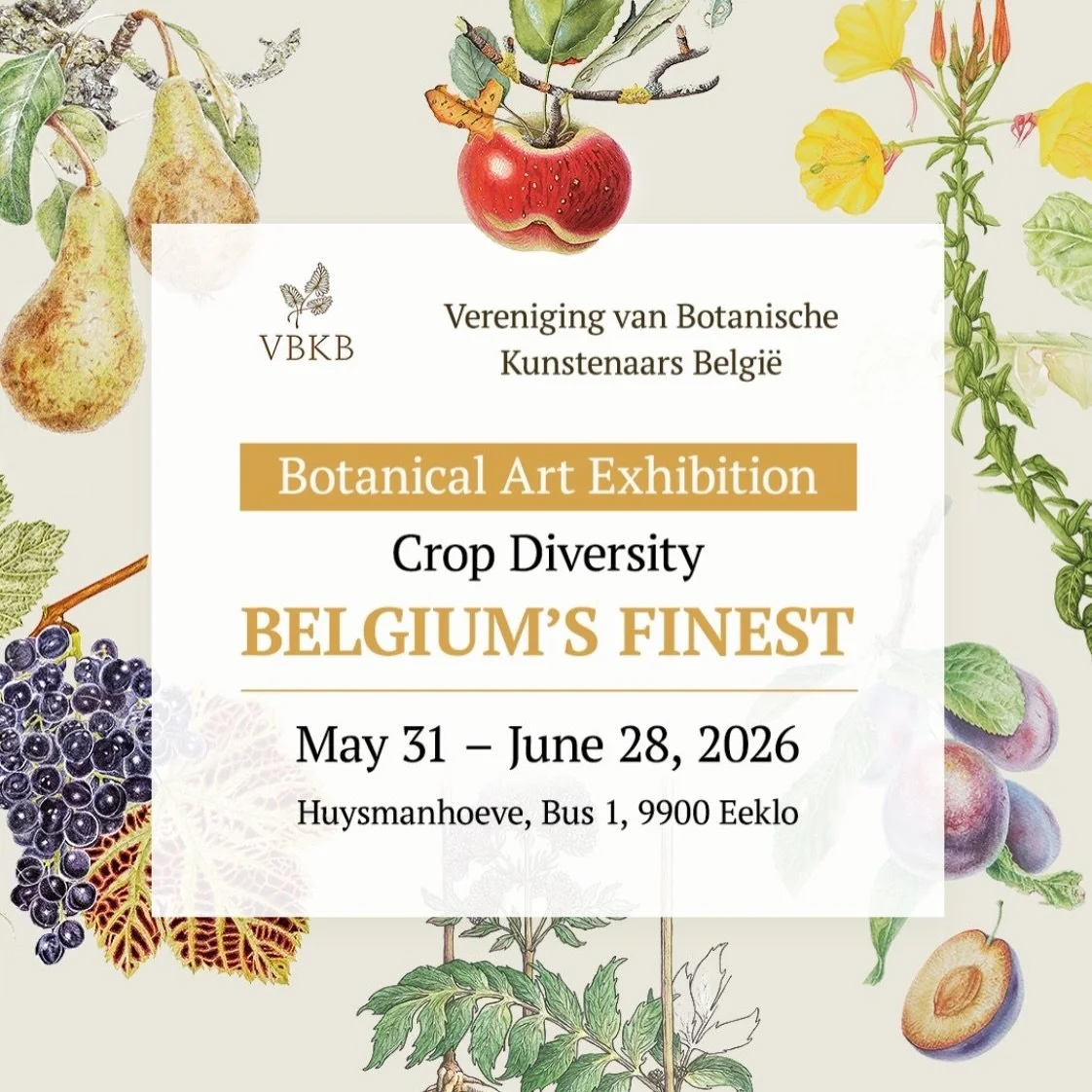 [ENG] Botanical Art Exhibition in Belgium

I was honored to represent France in Belgium for Botanical Art Worldwide 2025, and I am excited to share that this exhibition has returned. I would like to extend my sincere thanks to the Belgian steering co