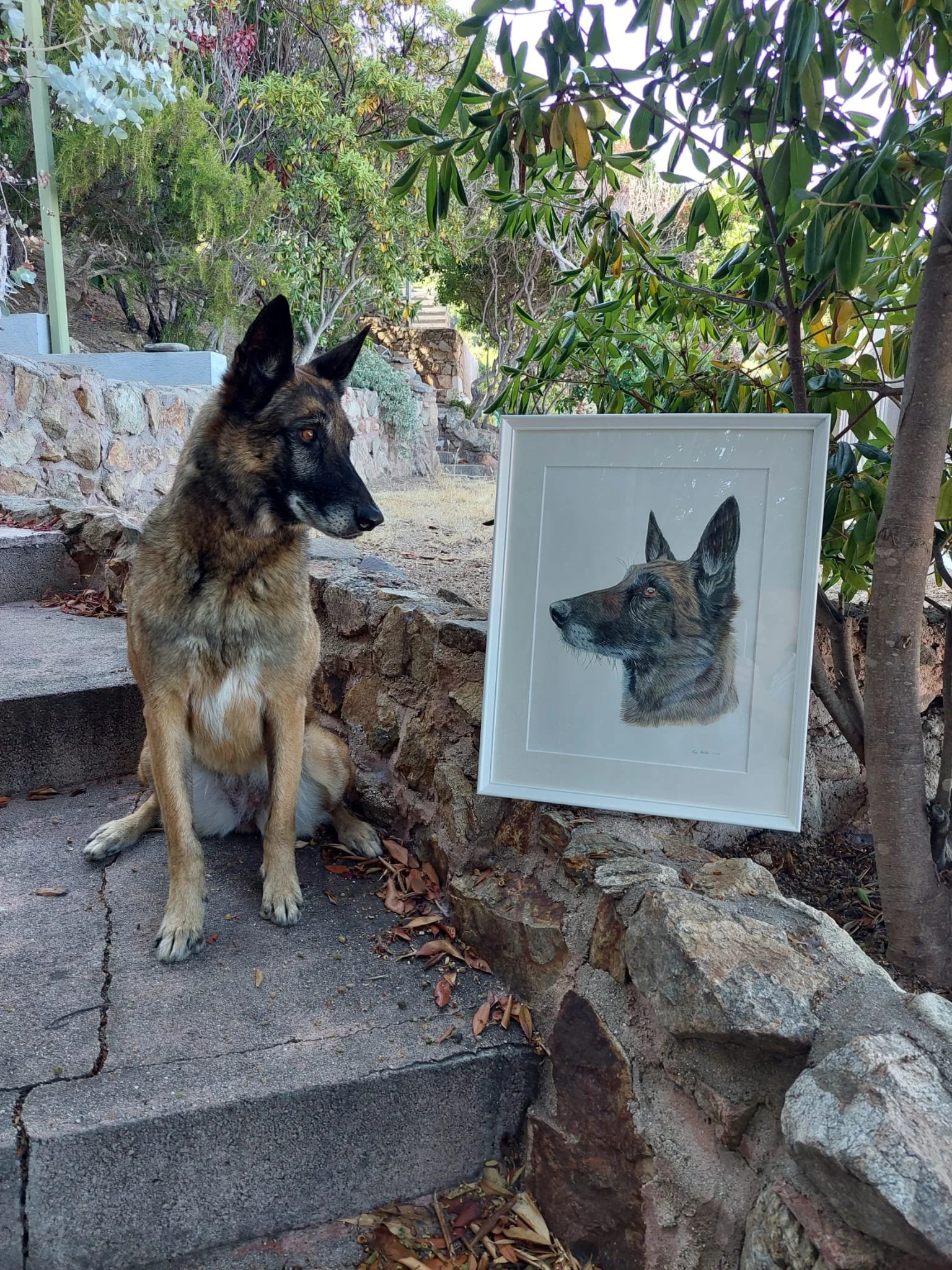 watercolor portrait of a dog