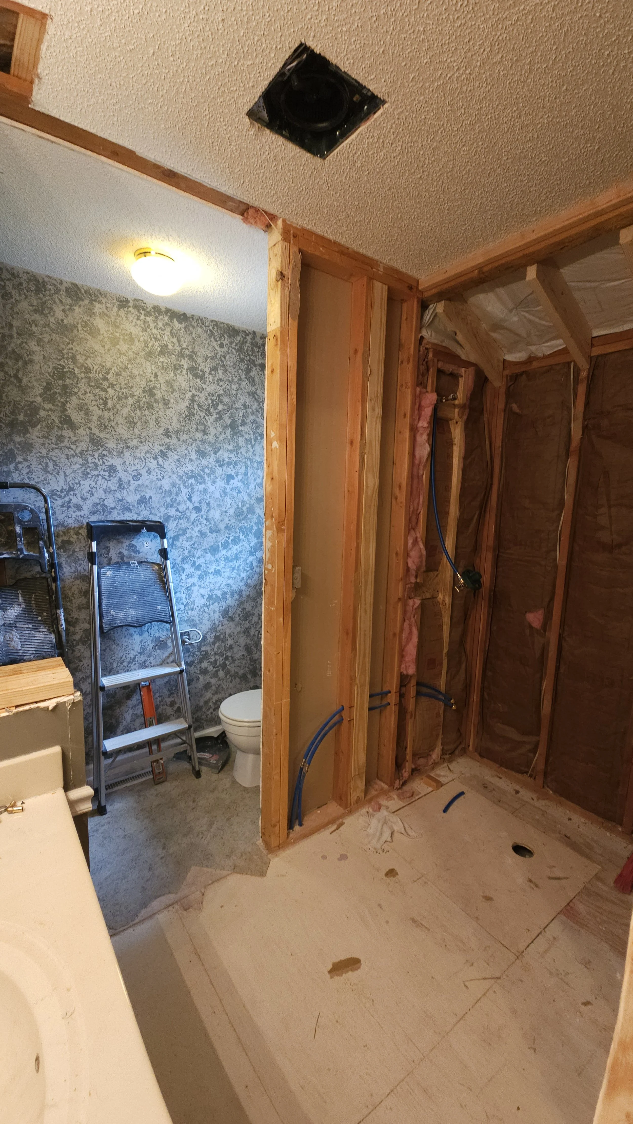Master bathroom remodel gut