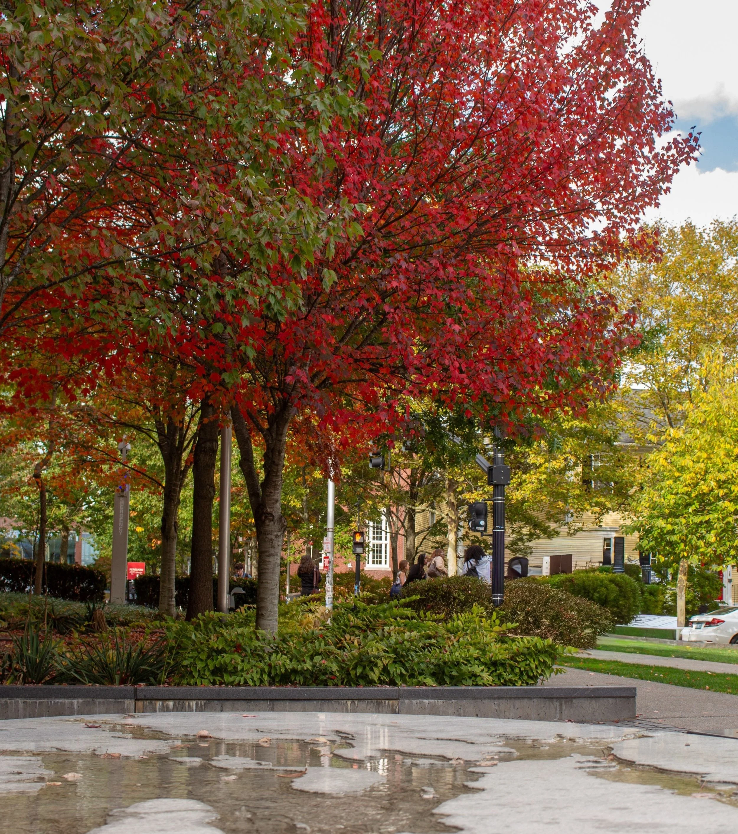 November 2025 Newsletter