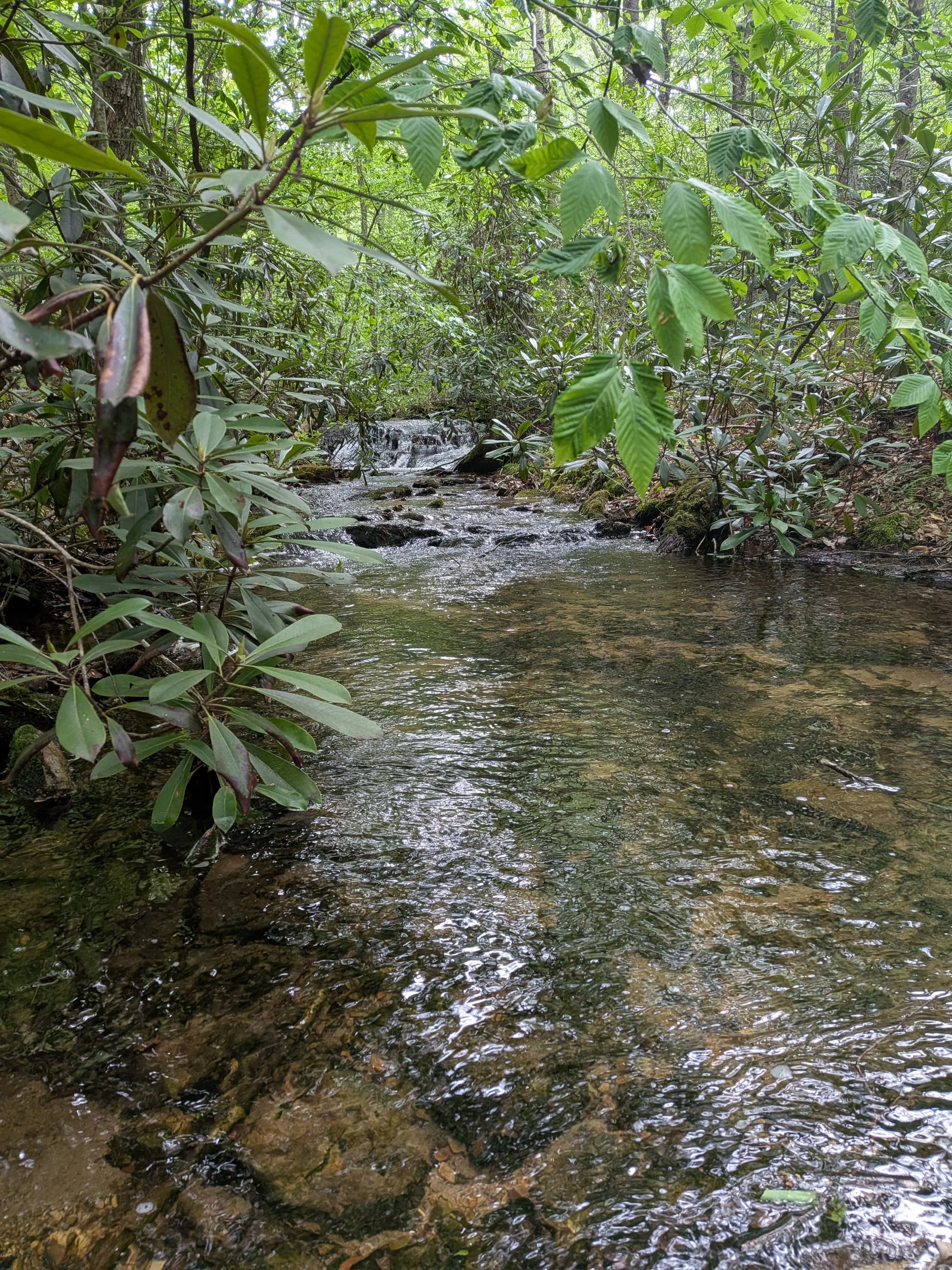 PXL_20260530_130040258.jpg