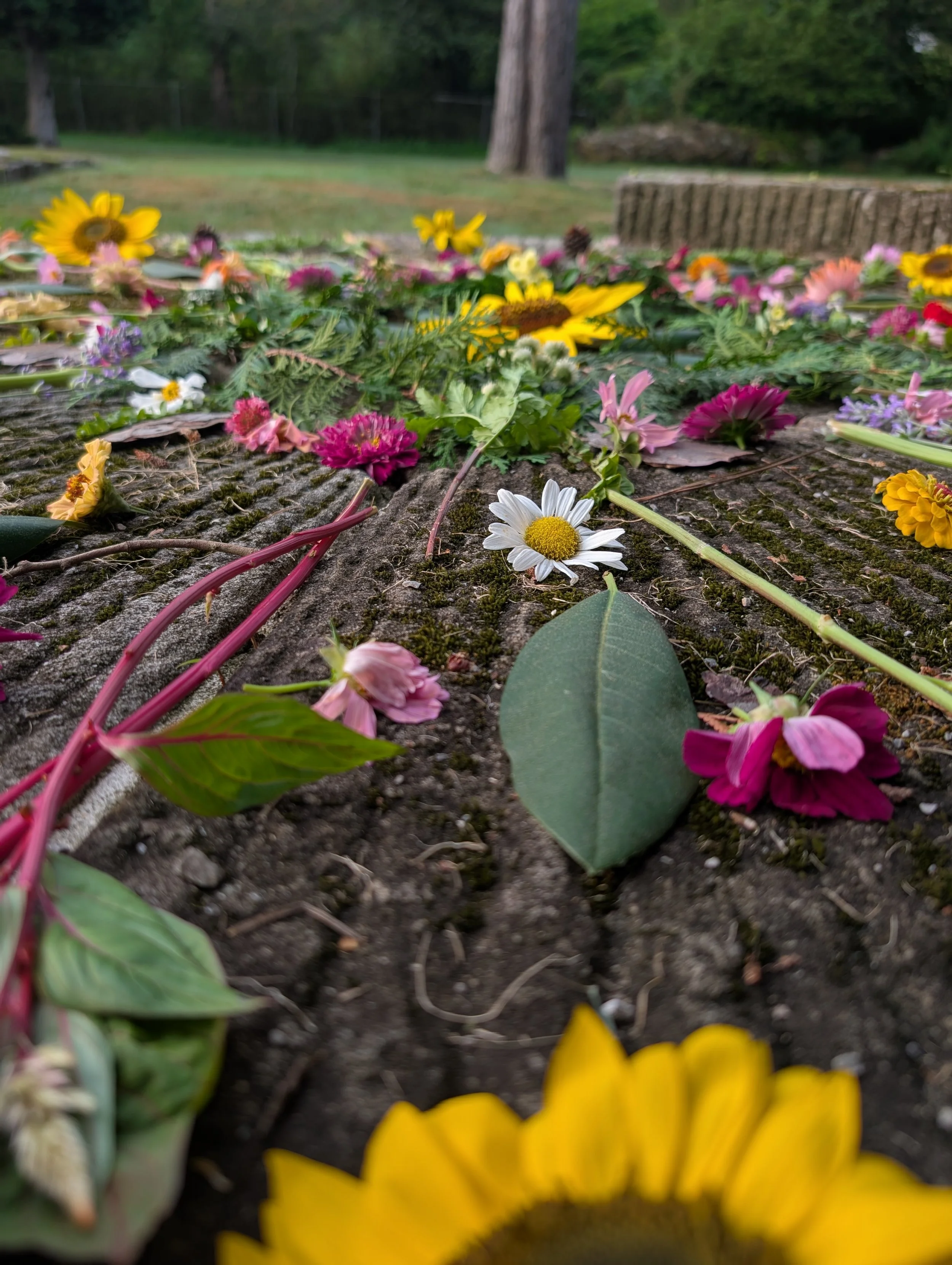 Navigating the Wilderness of Grief 