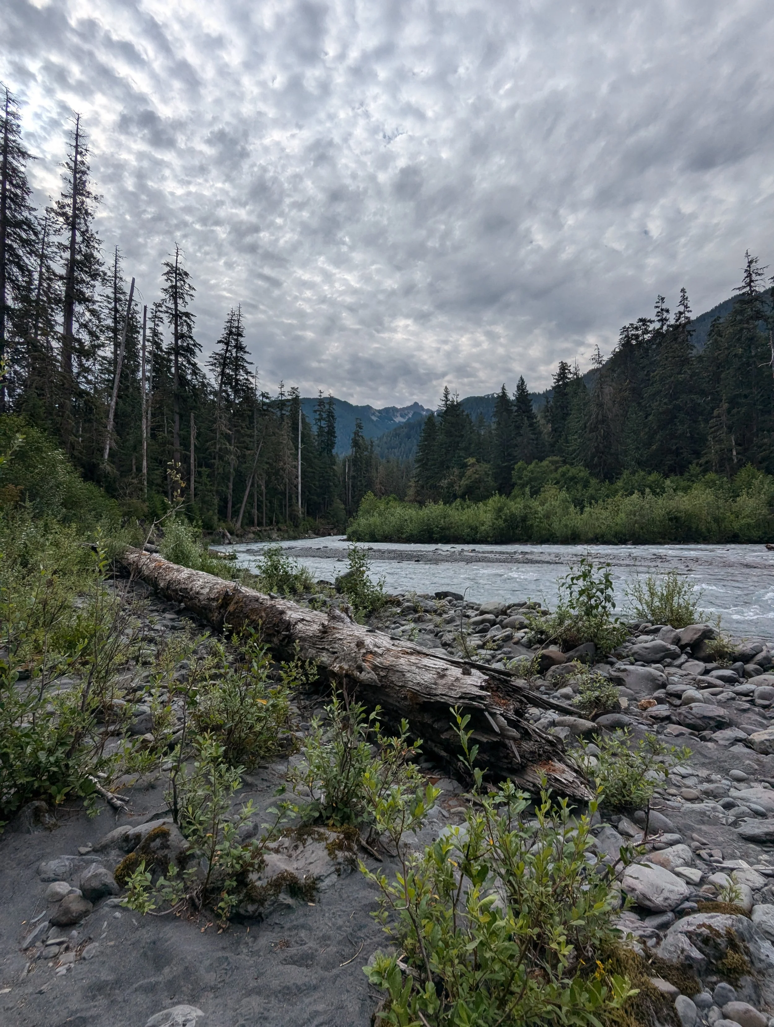 Olympic National Park - Backpacking 