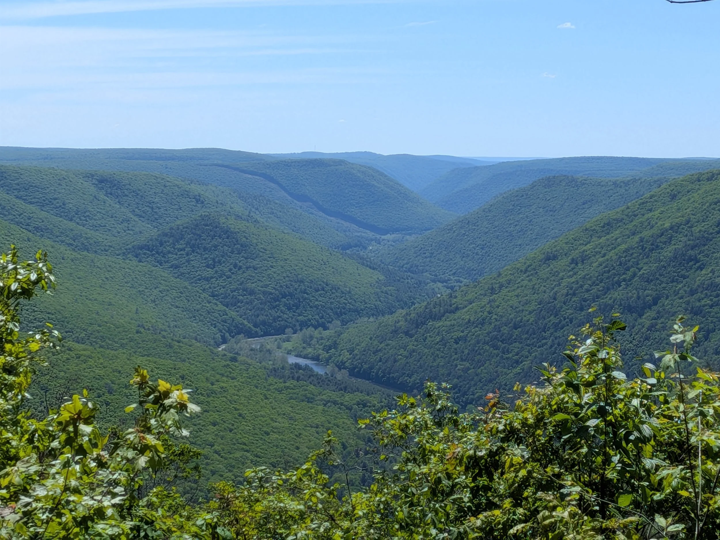 PXL_20260531_153036607.jpg