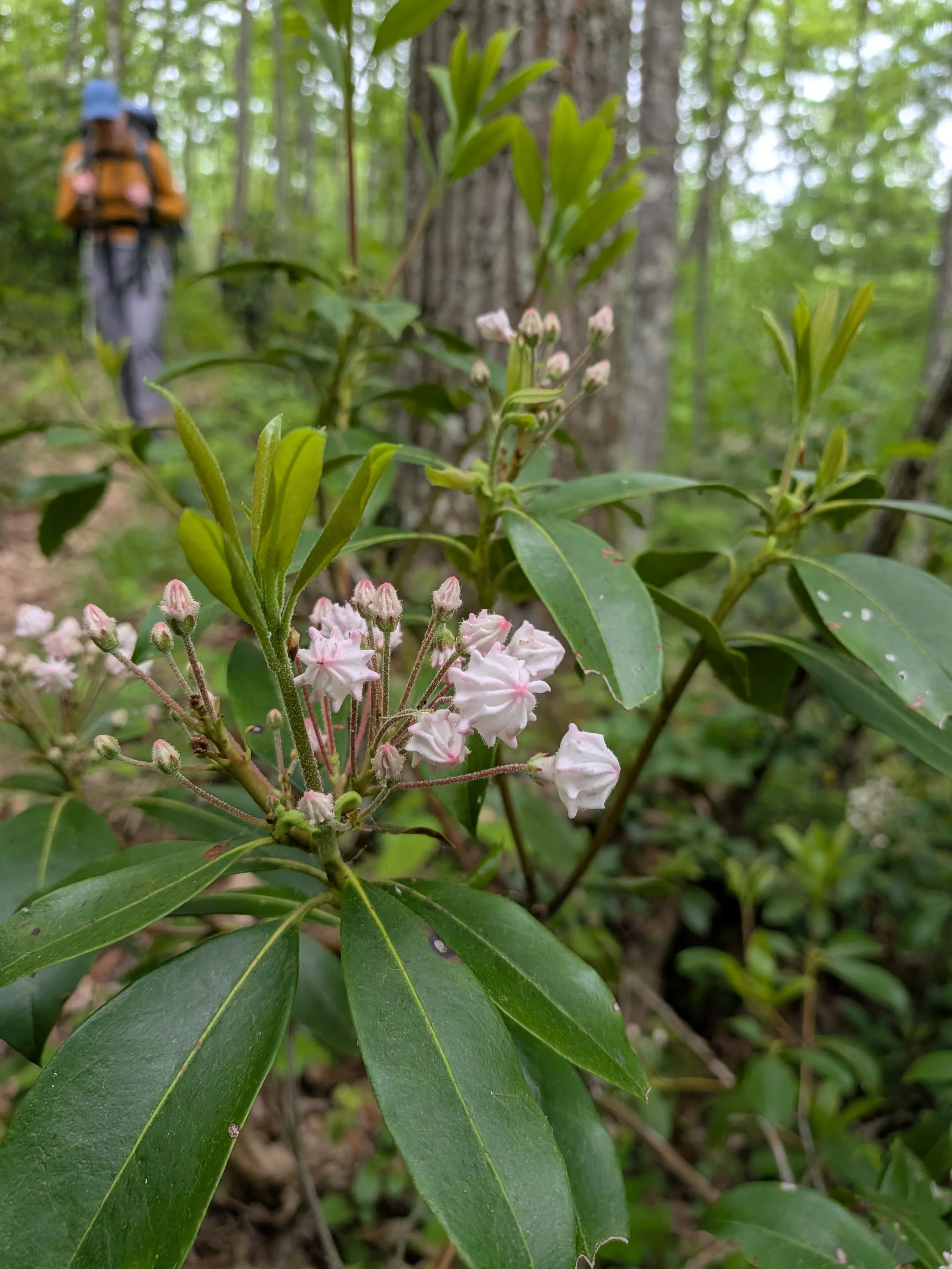 PXL_20260530_151446920.jpg