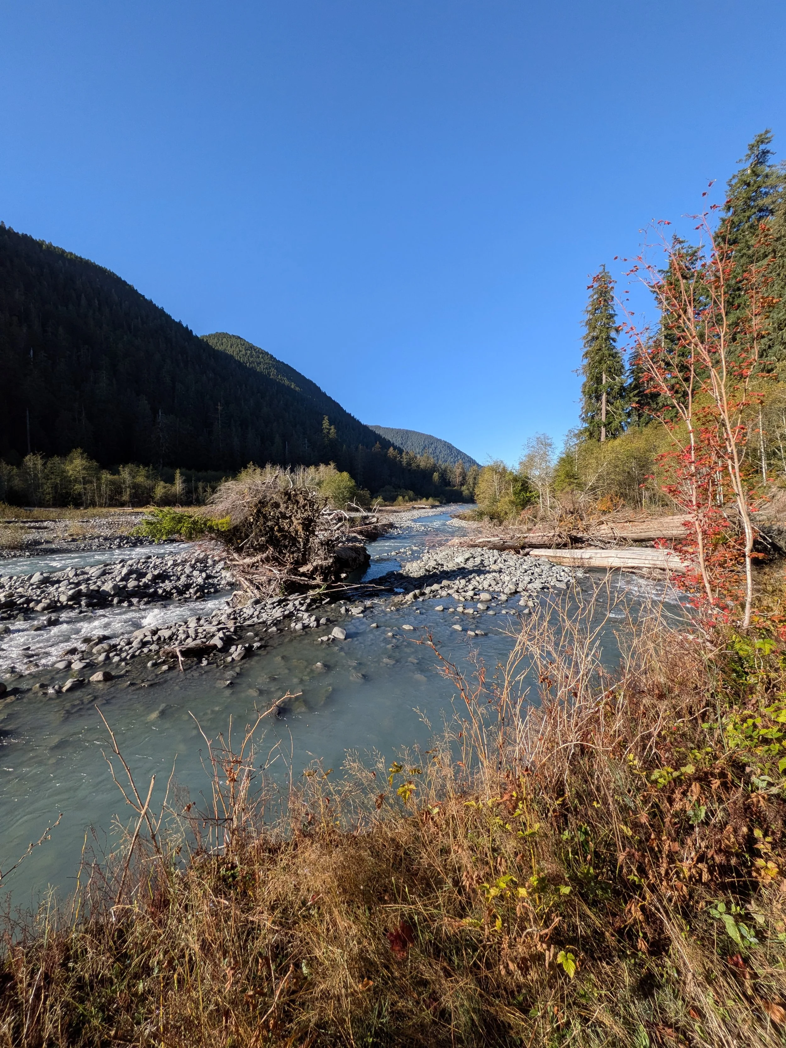 PXL_20260927_163849670.jpg