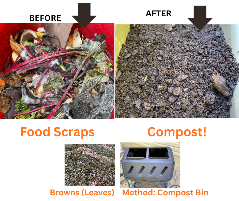 Composting Basics