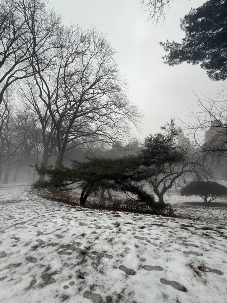 Returning Through the Fog