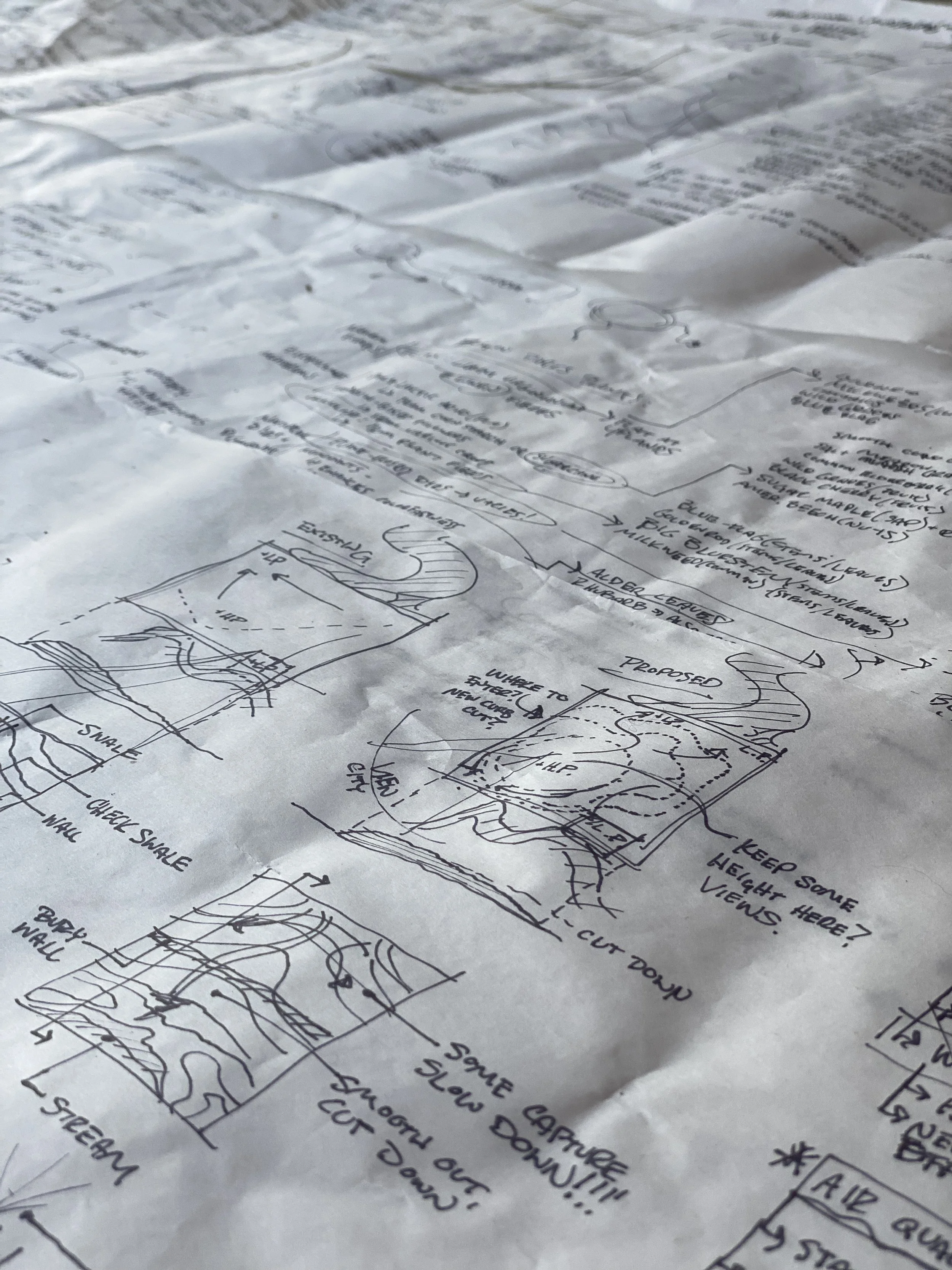 Pen on Bumwad. Concept sketches for Harvard GSD Project: PARX 2024