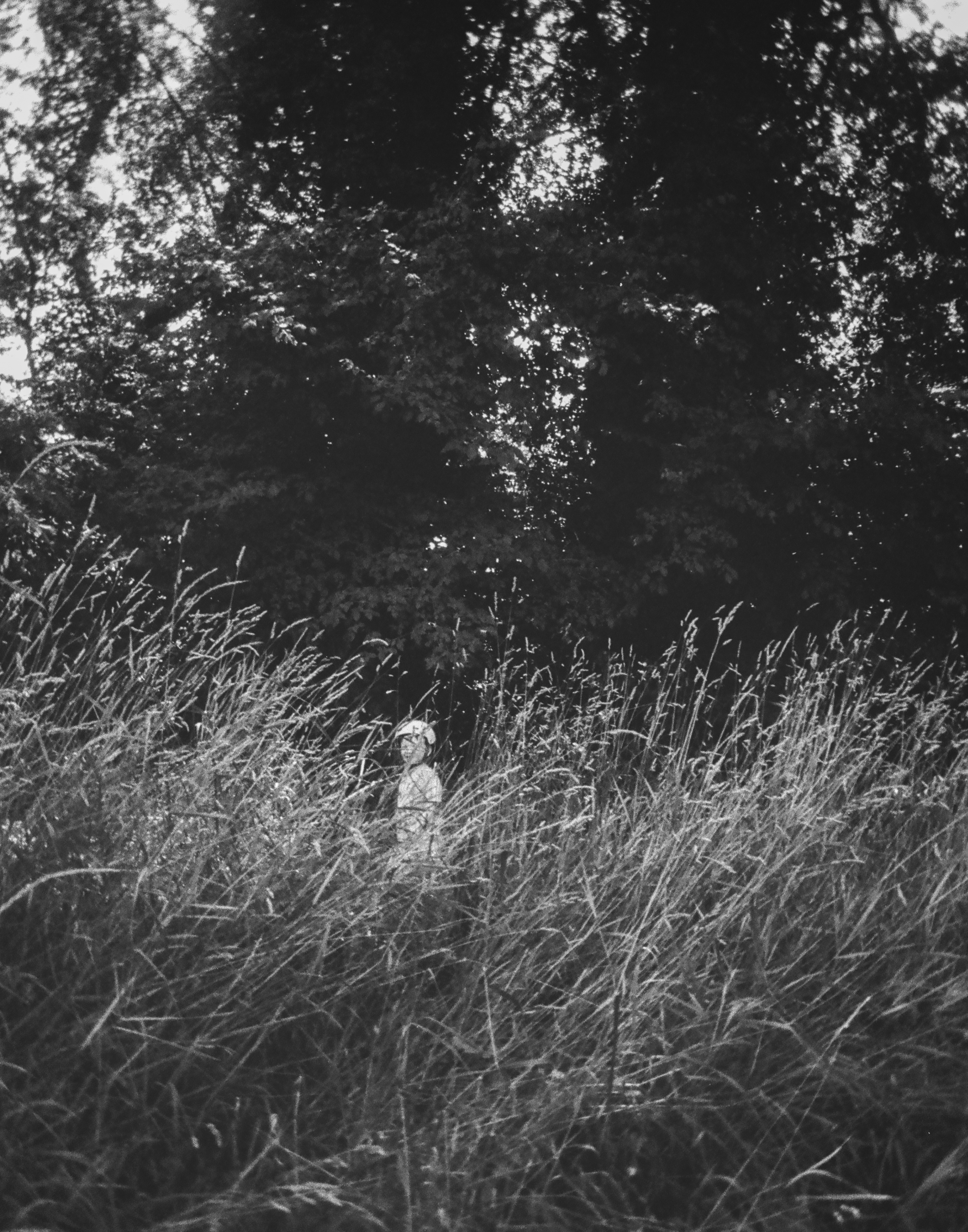 Grasses | Kodak Ektar H35 Film | Geneva, Switzerland. July 2025