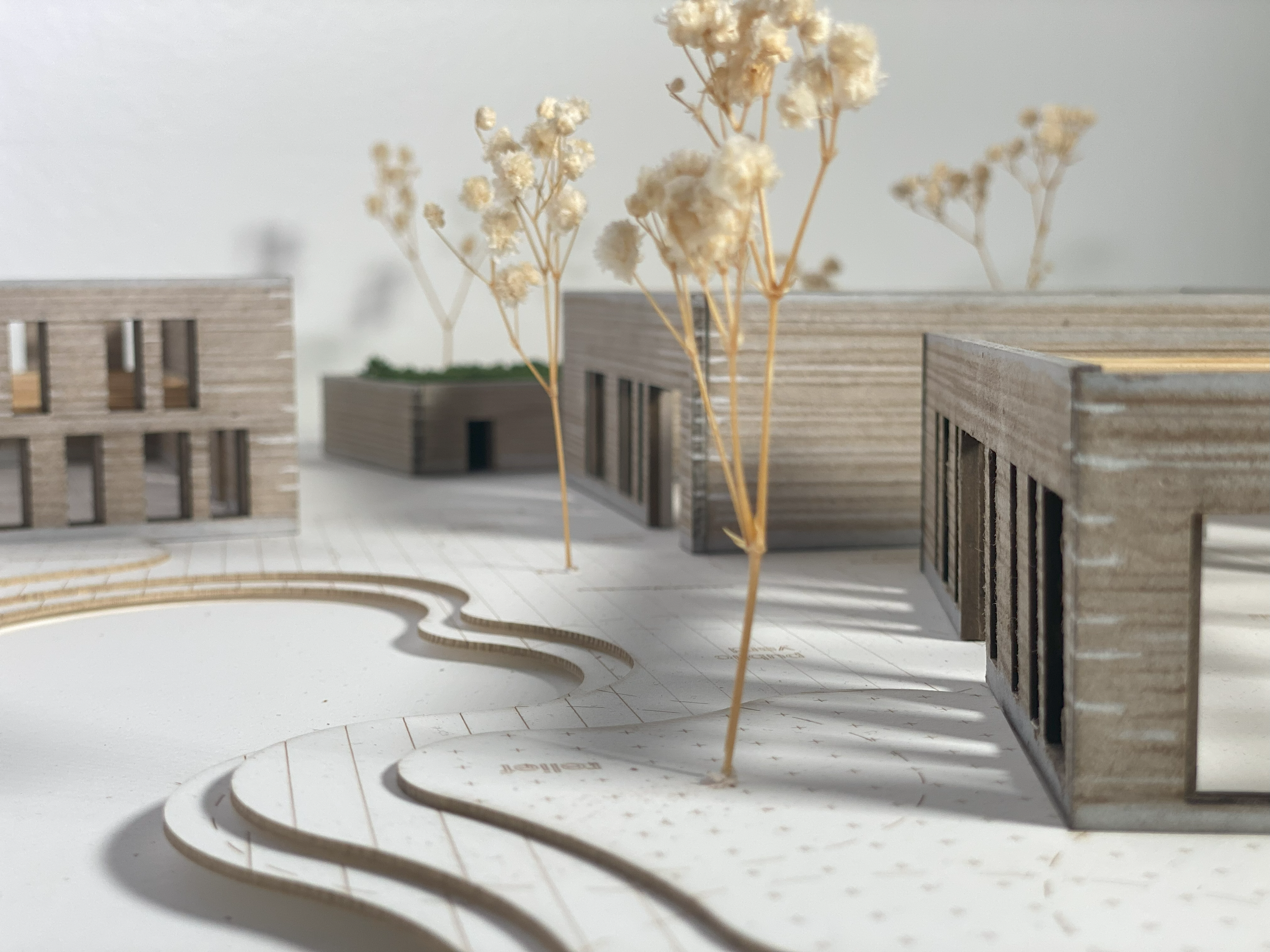 Physical Model -  Harvard GSD Architecture Studio 1313. Spring 2025