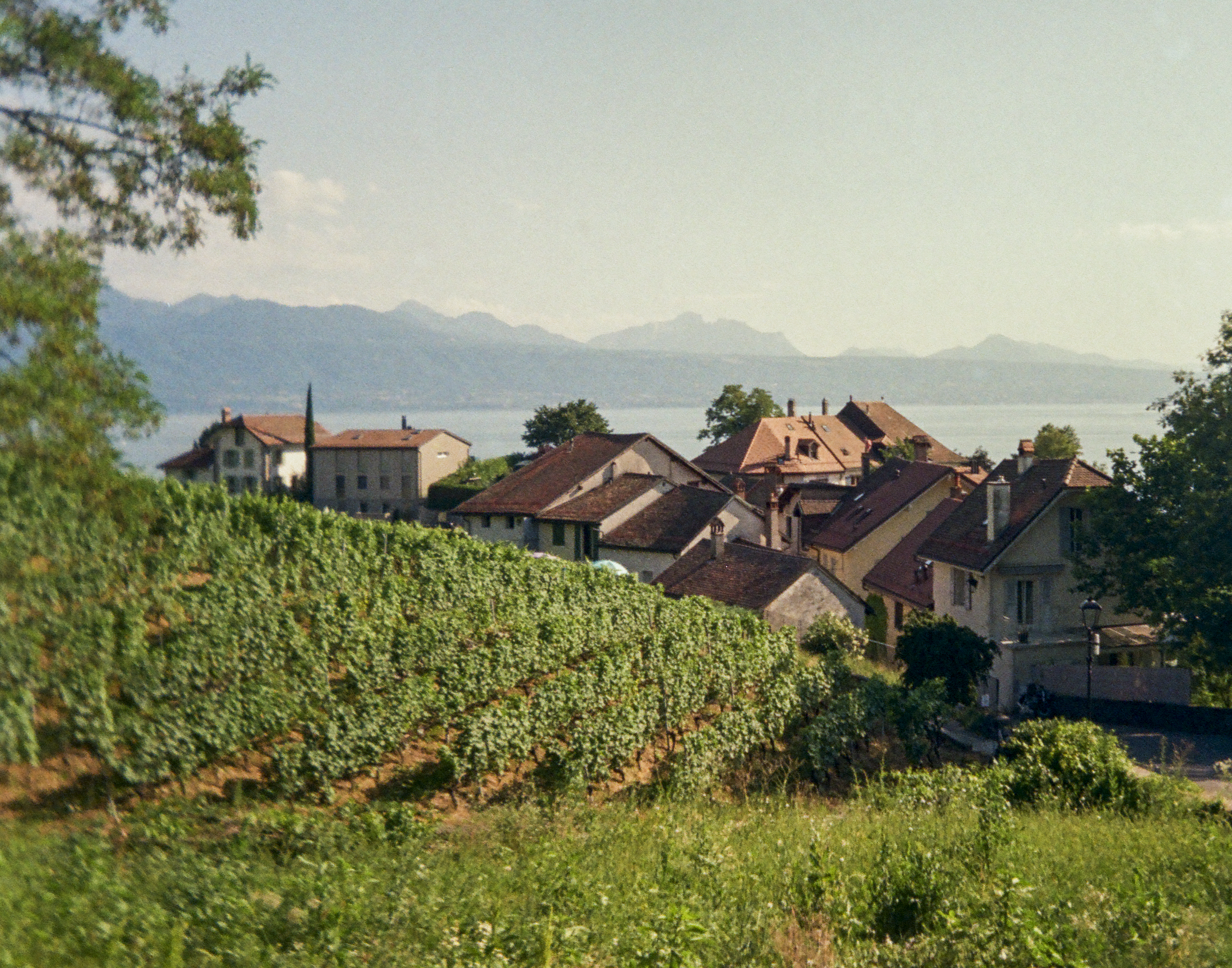 Village | Kodak Ektar H35 Film | Lutry, Switzerland. July 2025