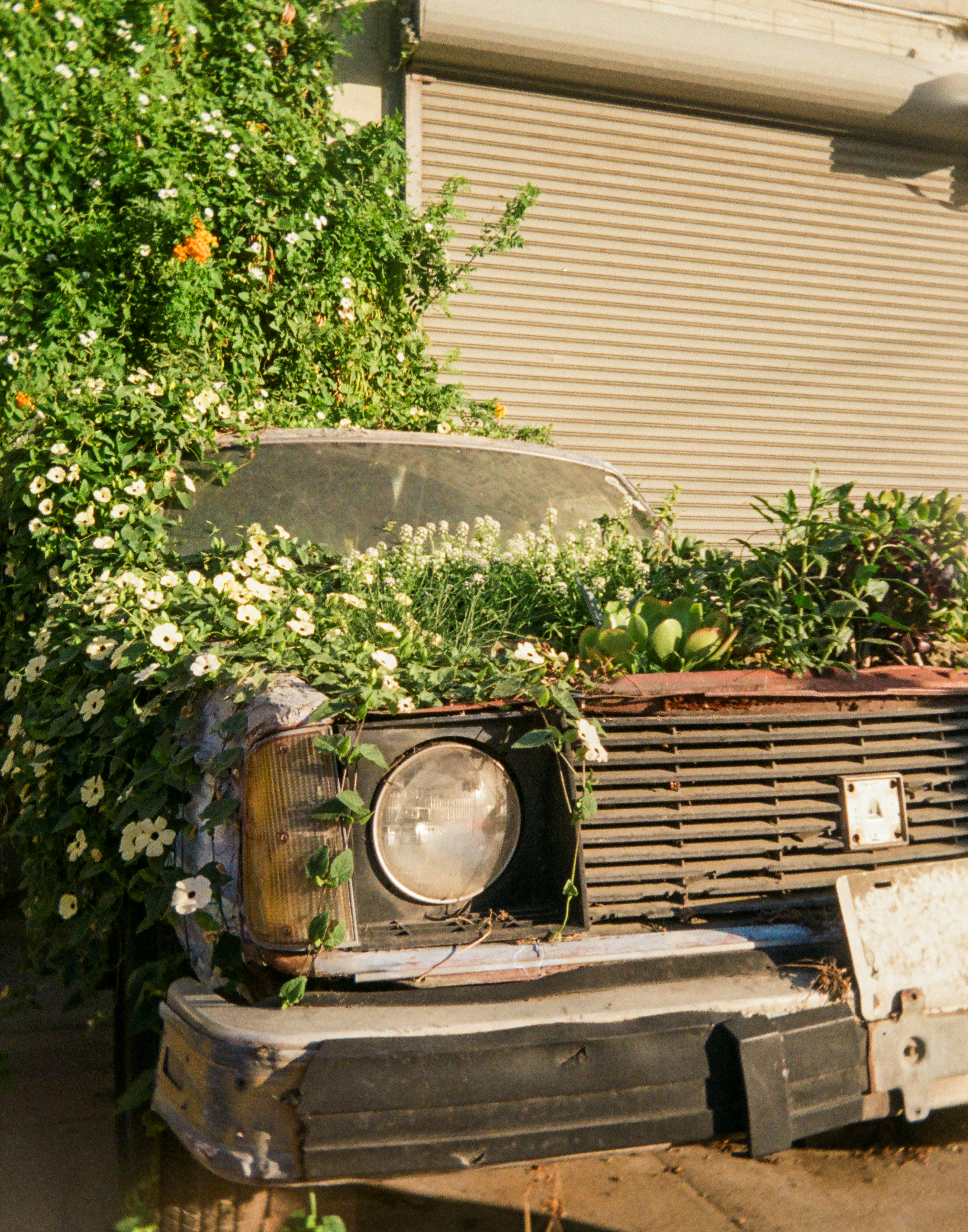 Green Car | Kodak Ektar H35 Film | Los Angeles, USA. October 2025