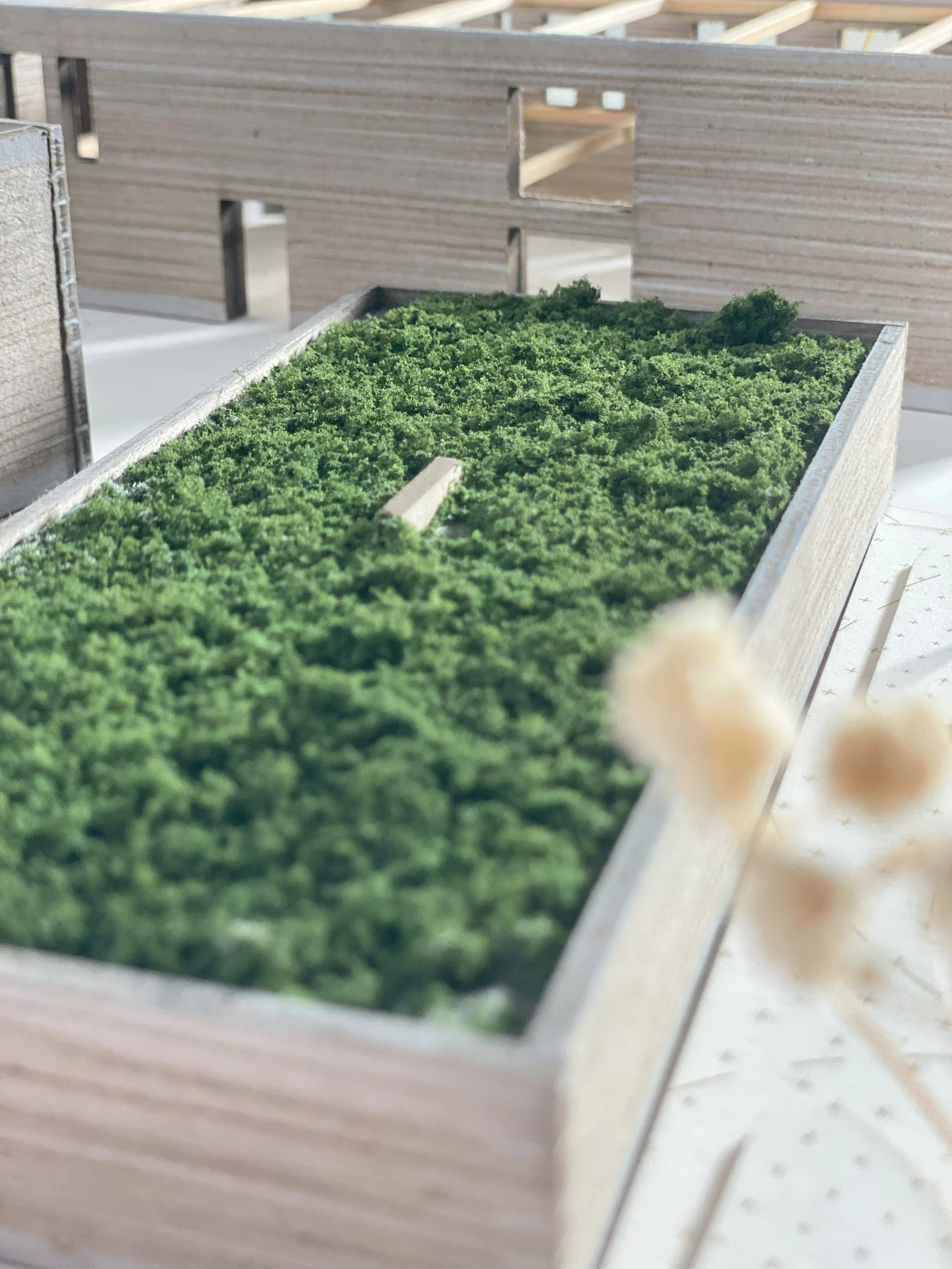 Physical Model -  Harvard GSD Architecture Studio 1313. Spring 2025