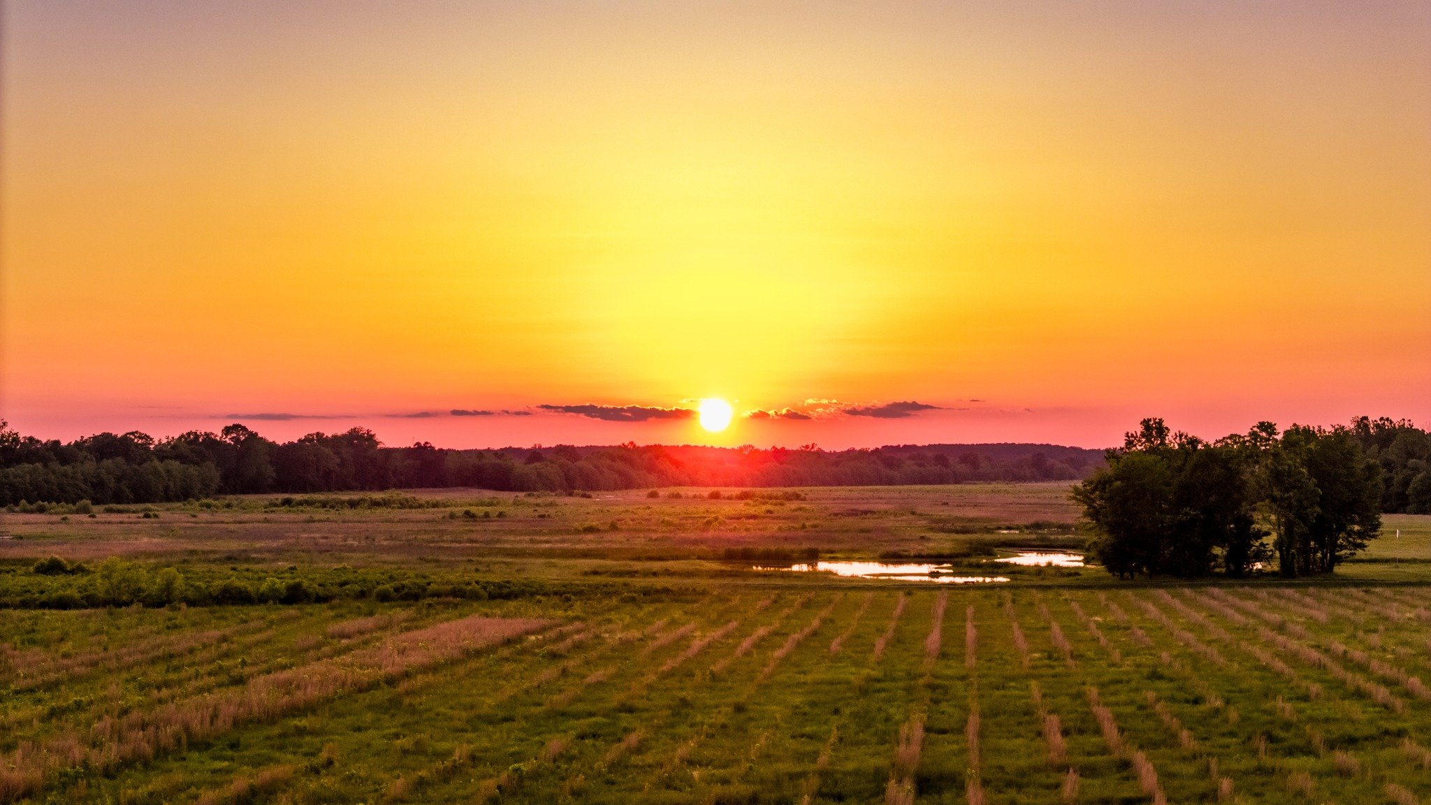 Photo Credit: TN State Parks