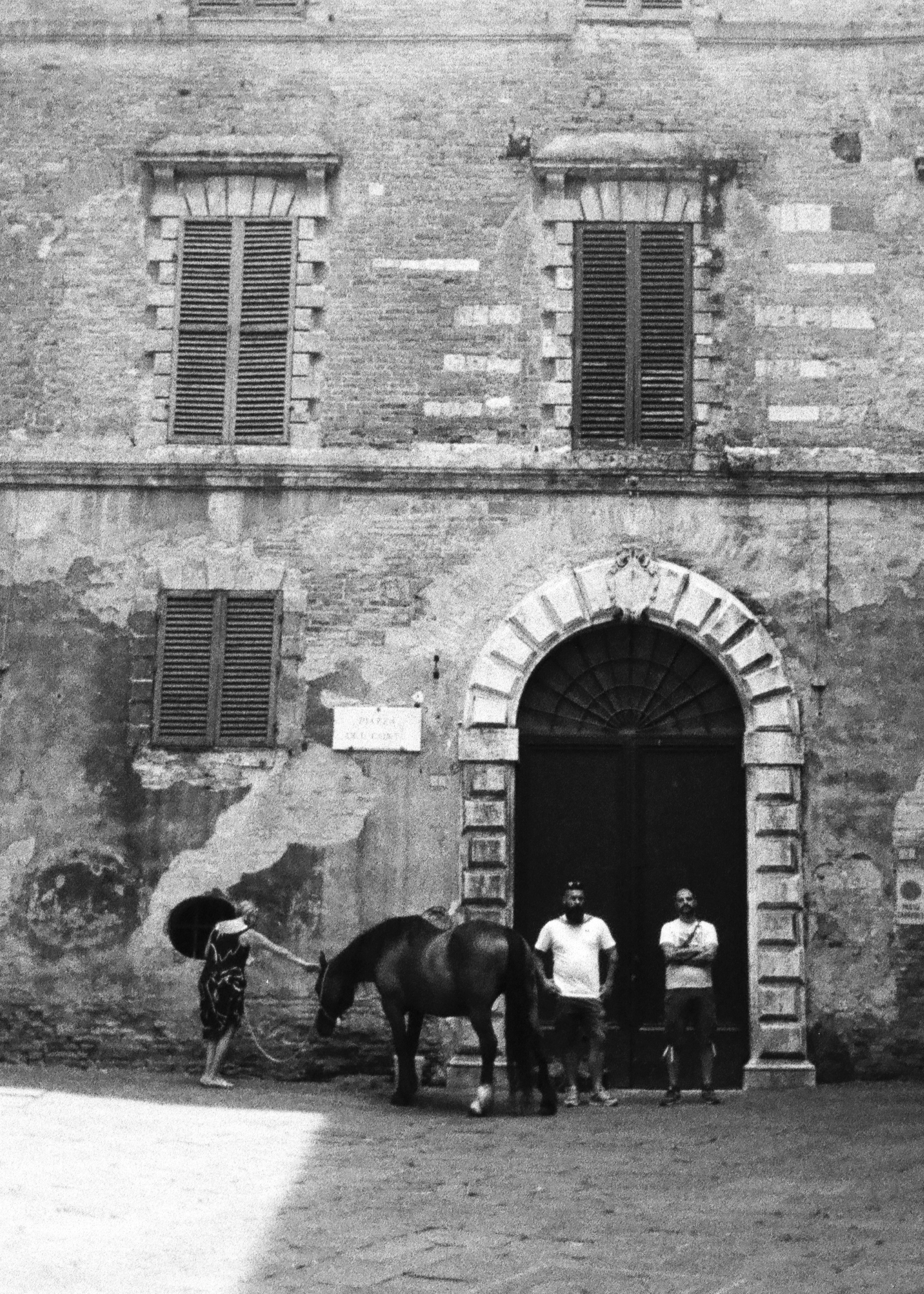 Horse | Kodak Ektar H35 Film | Siena, Italy. June 2025