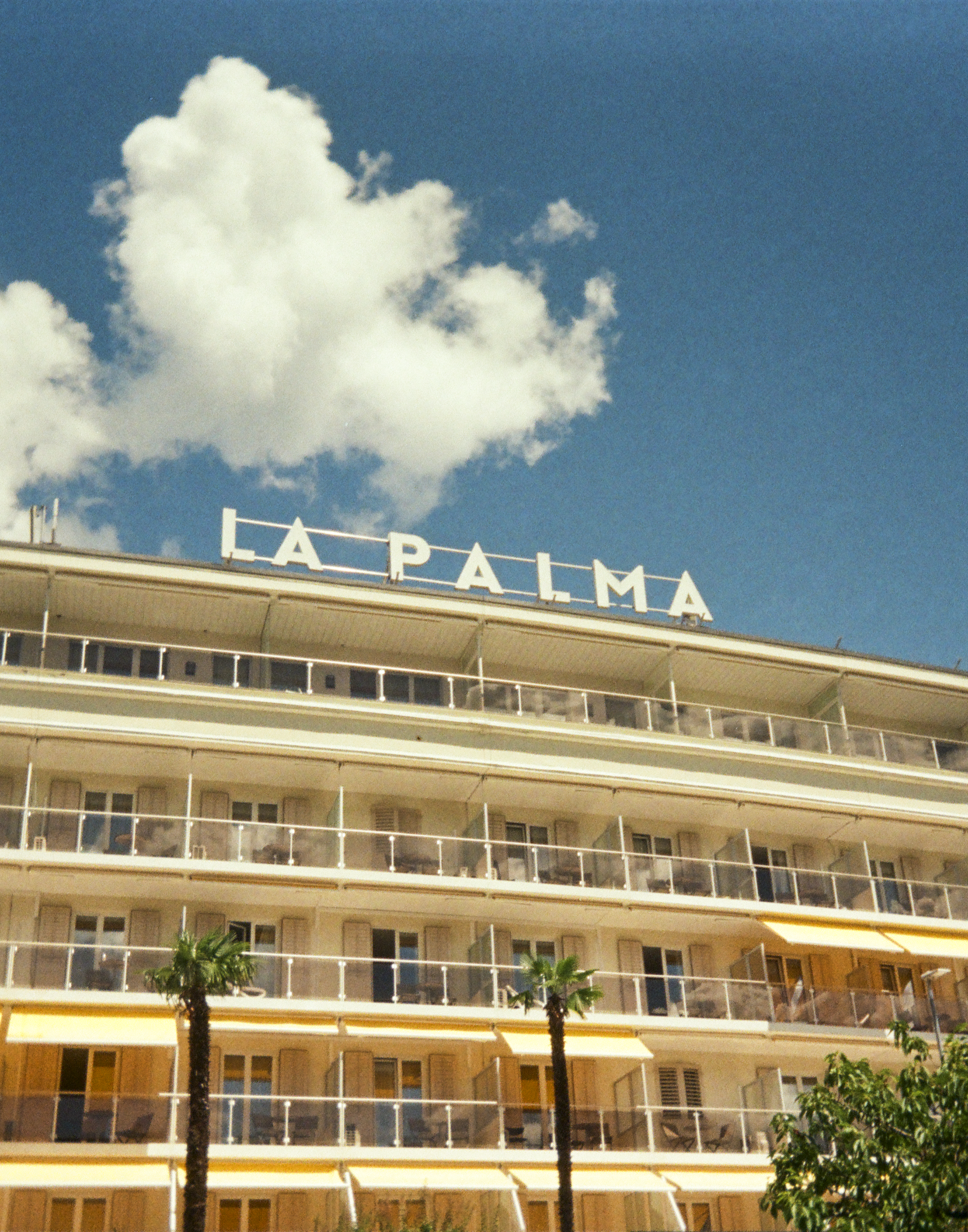 La Palma | Kodak Ektar H35 Film | Locarno, Switzerland. July 2025