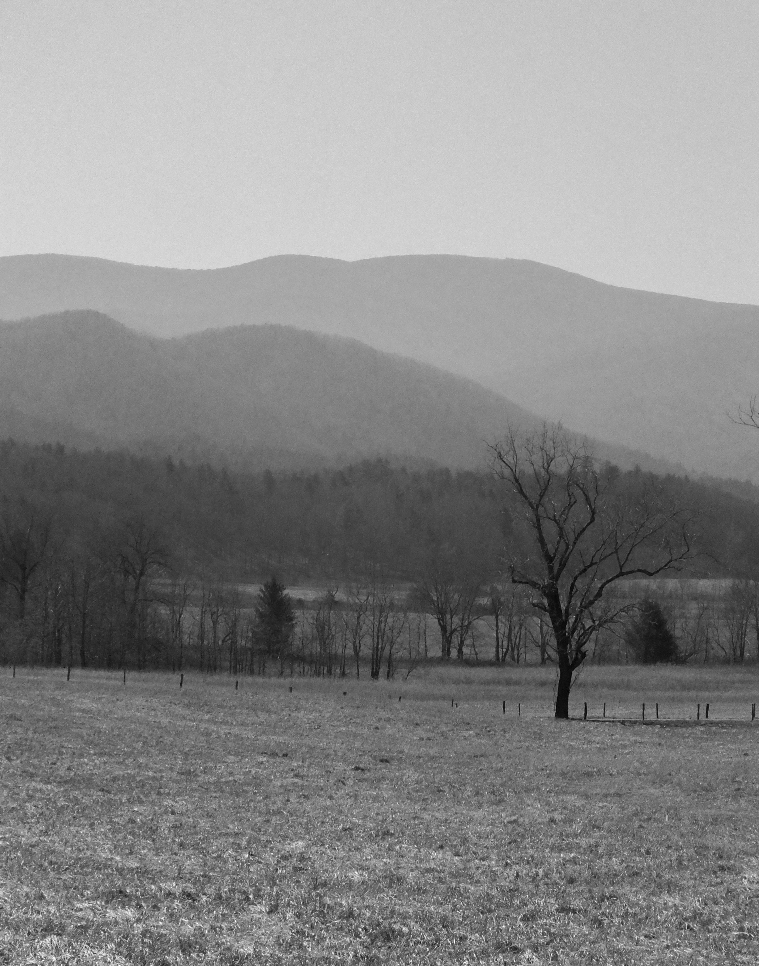 Tennessee Mountains. | Fujifilm Digital 2014