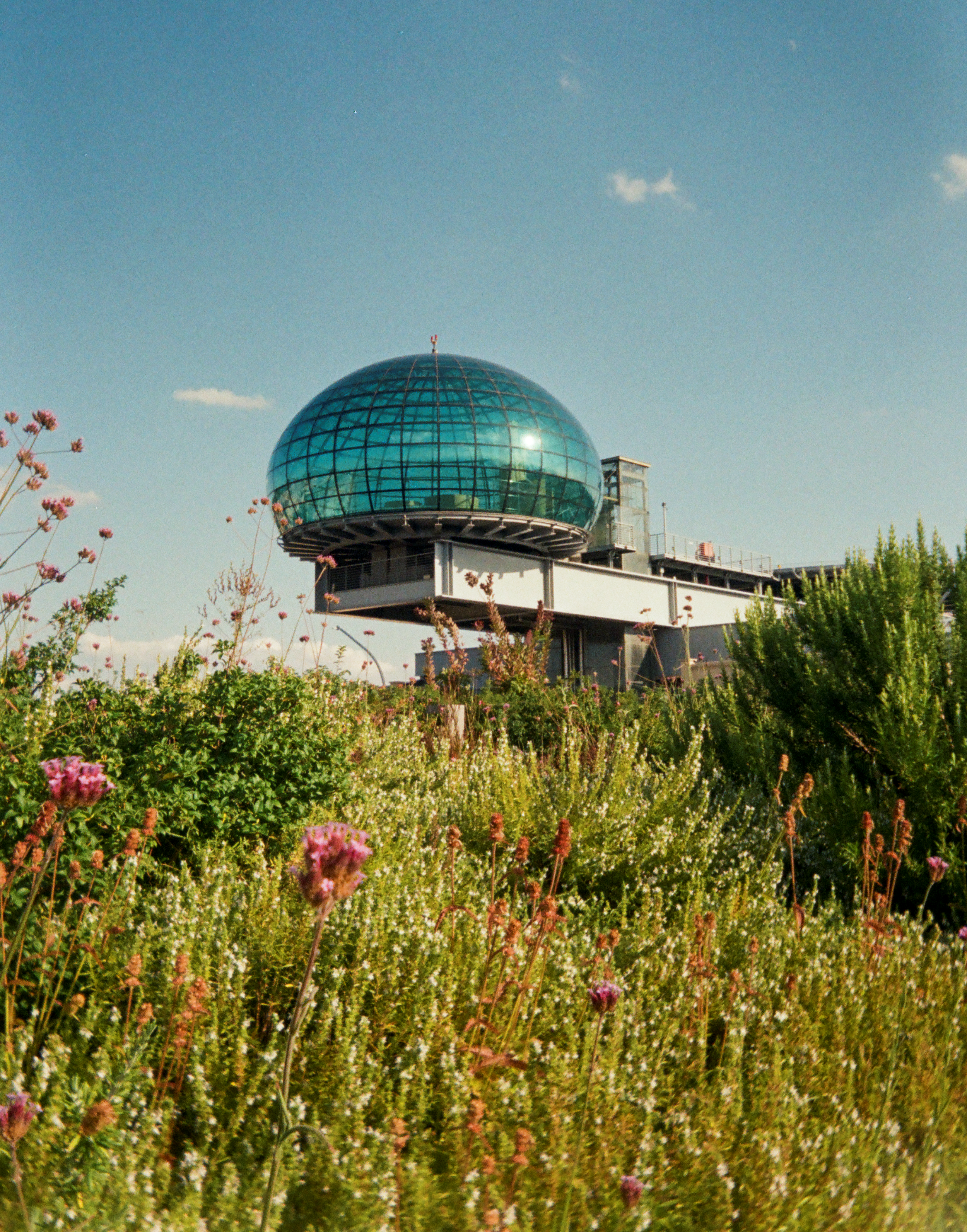 Fiat | Kodak Ektar H35 Film | Turin, Italy. July 2025