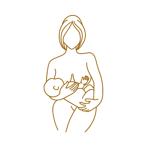 Seven Cities Midwifery Care