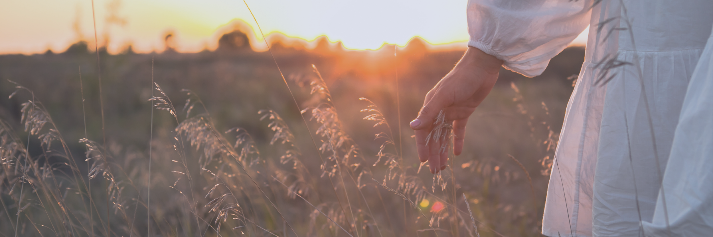 A person in white clothing walking through a field of tall grass during sunset, with warm sunlight and a blurred horizon in the background.