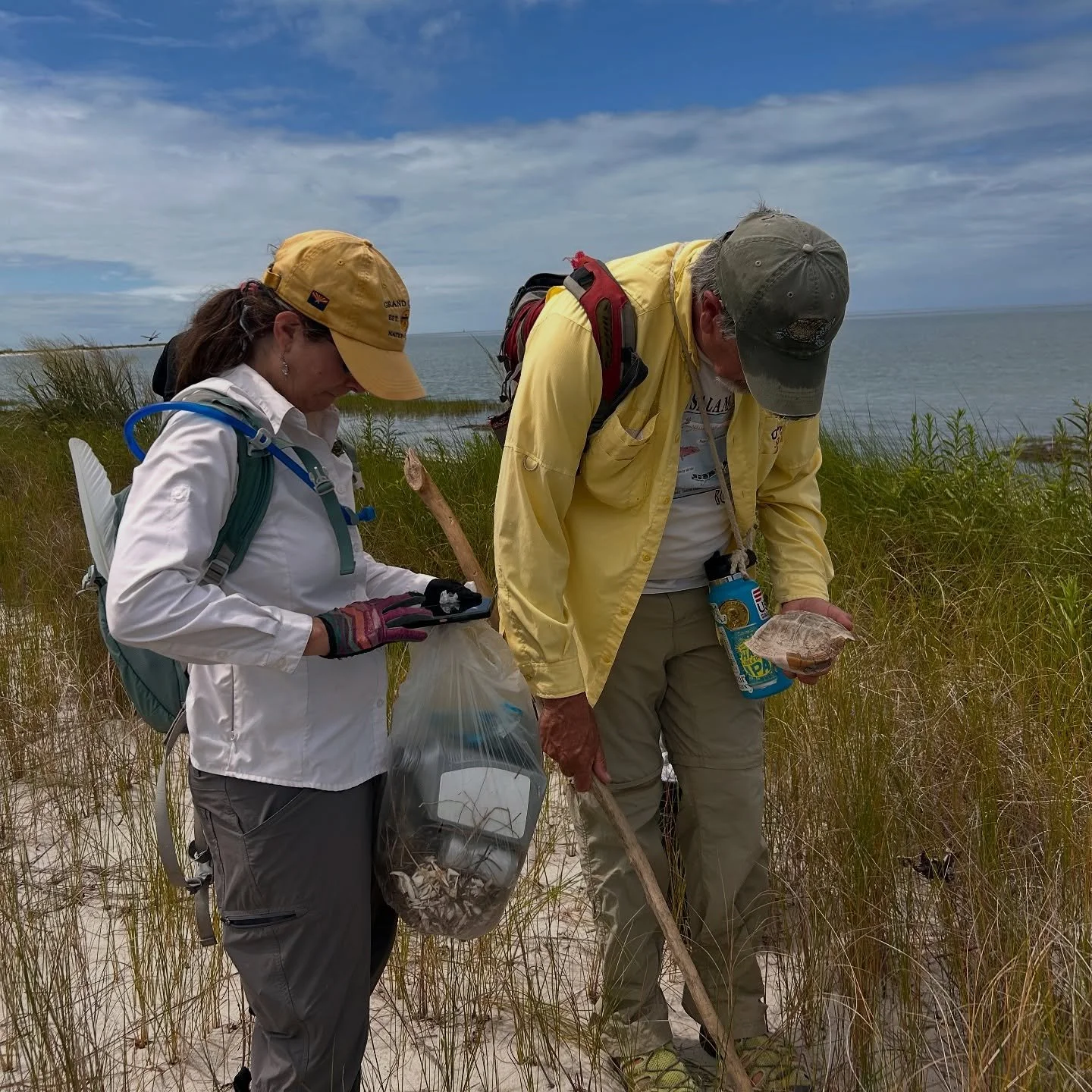 Through our @nfwf Chesapeake WILD planning grant, UA has partnered with the Accohannock Indian Tribe of Maryland to strengthen their culture and visibility.🤝

At Janes Island State Park, we are exploring ways the park can host tribal ceremonies and 