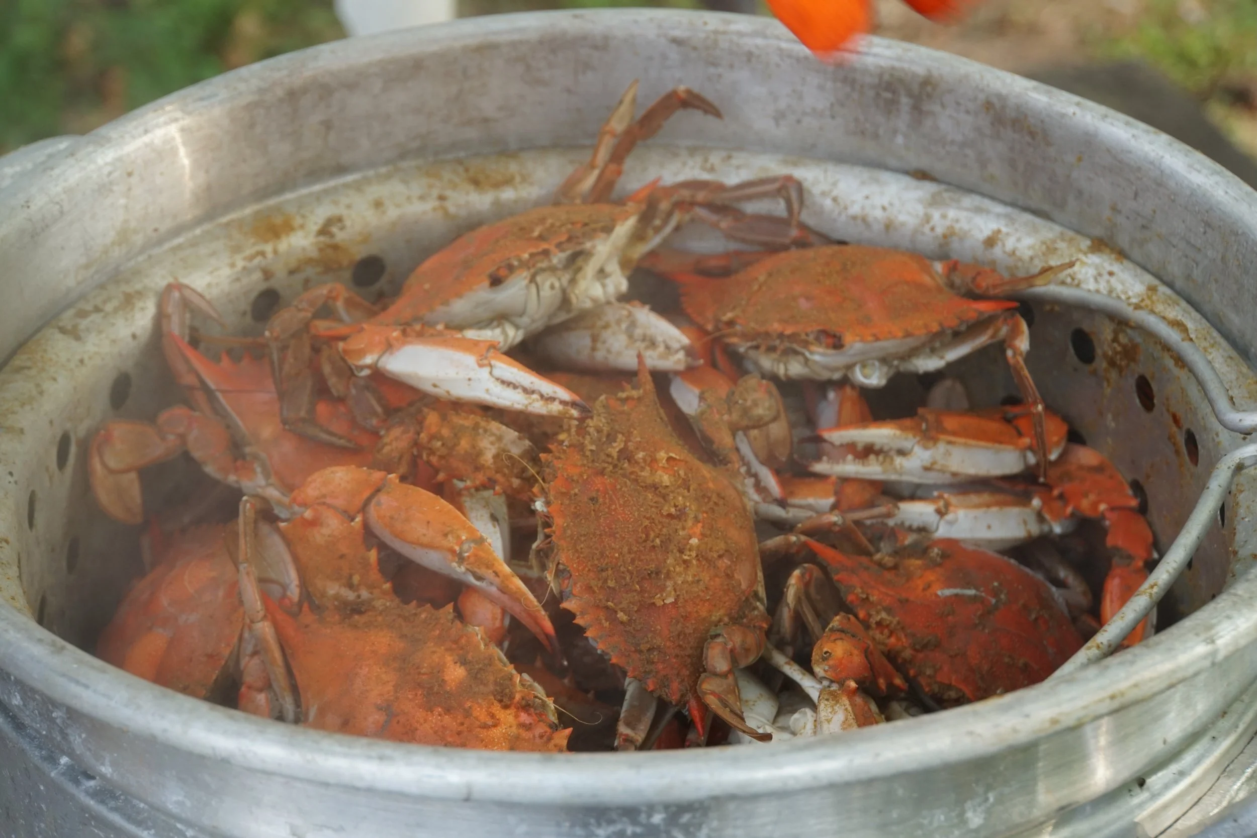 Crab Feast