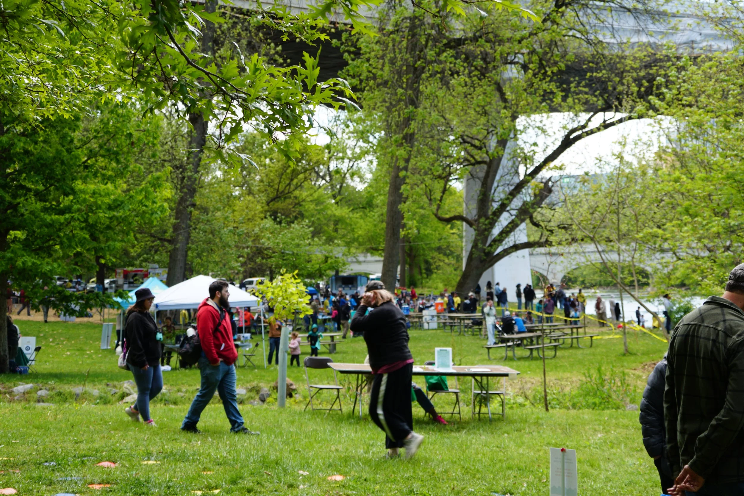 DSC09007.JPG
