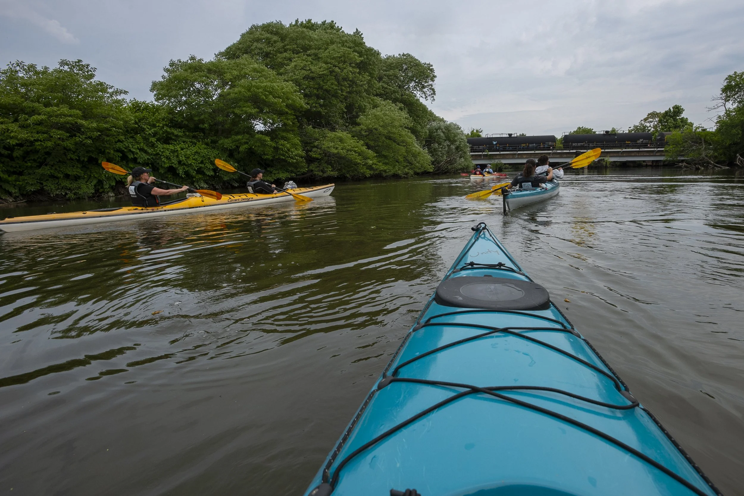 KAYAKCONGRESSMAN_50.jpg