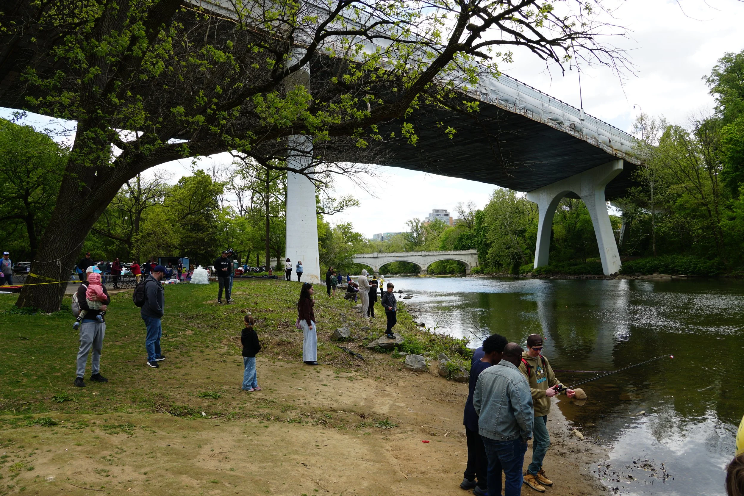 DSC08974.JPG