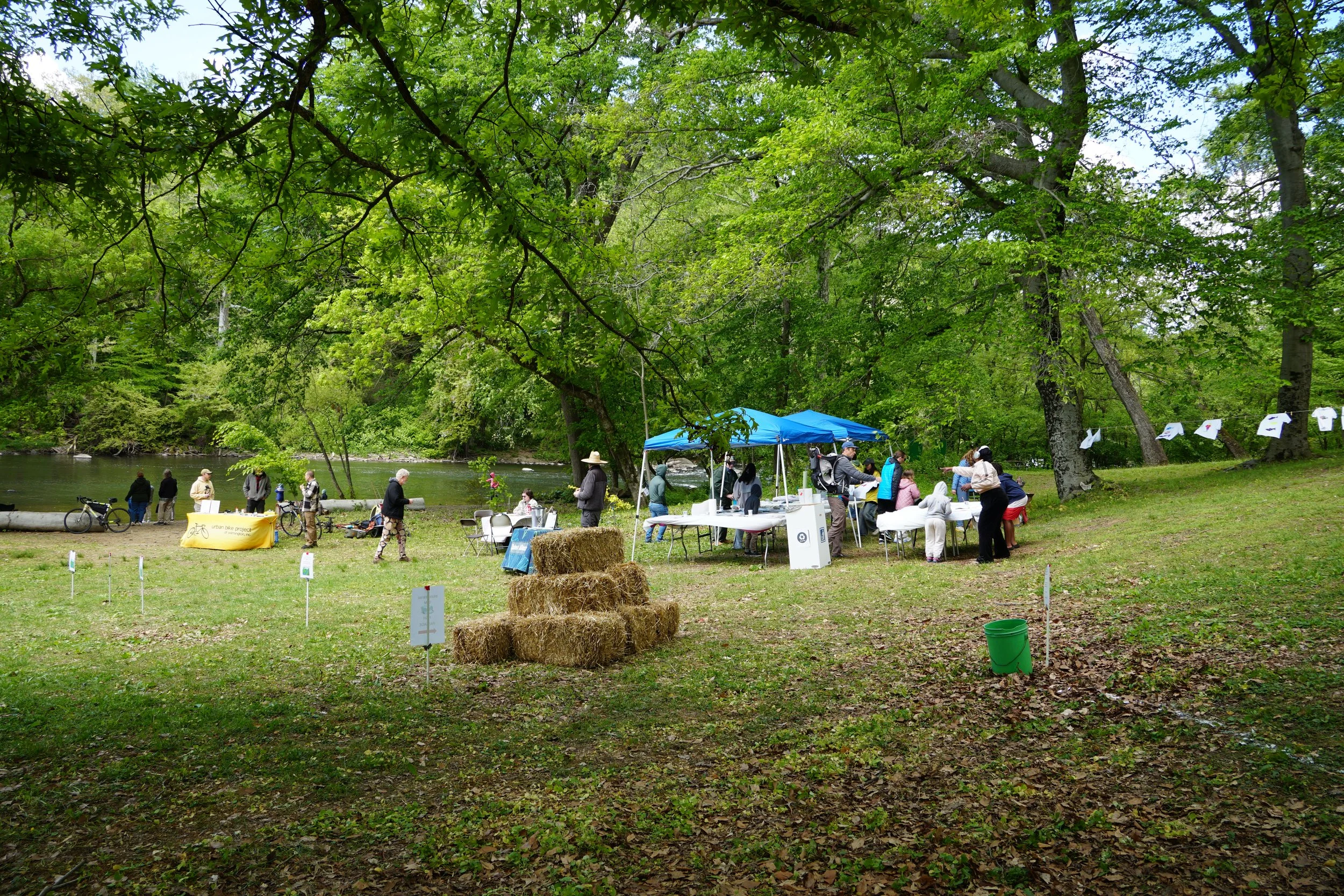 DSC09005.JPG