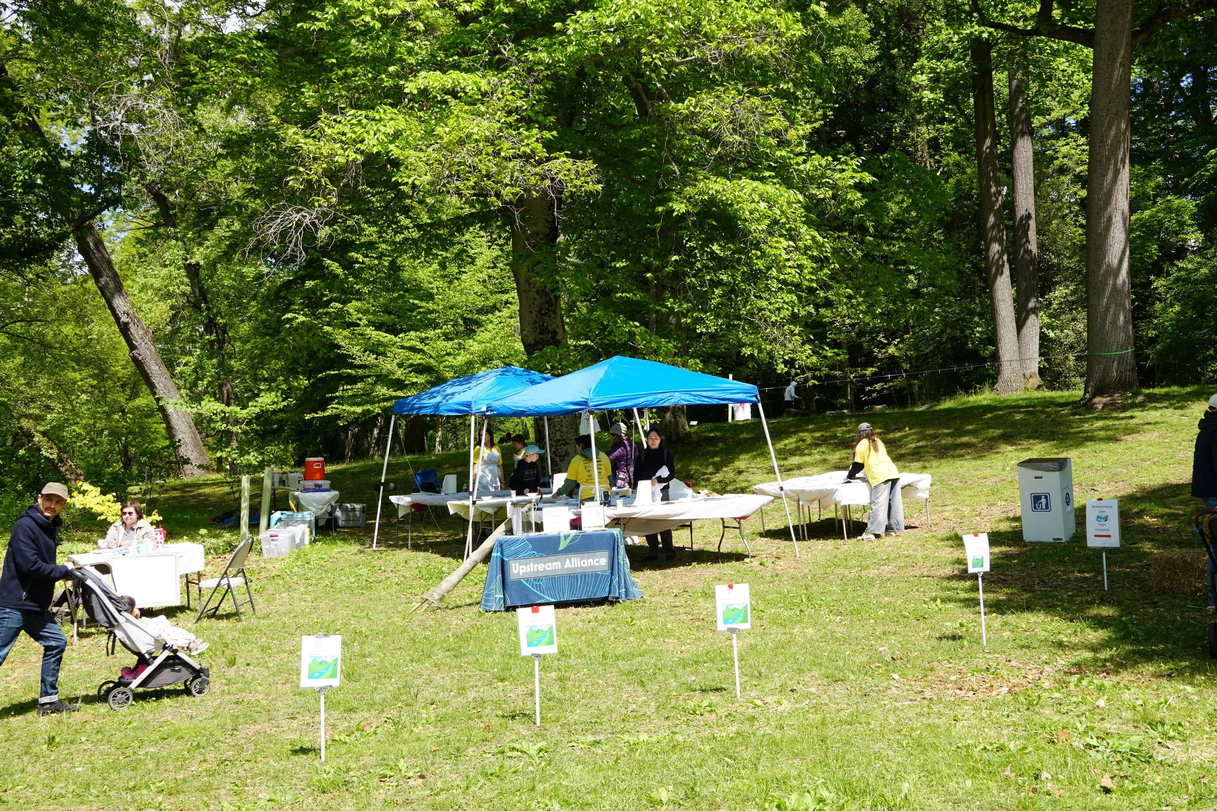DSC08965.JPG