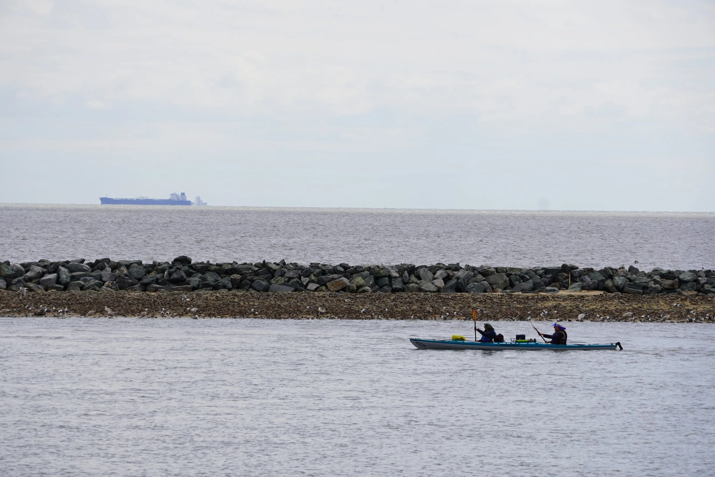 DSC01593.JPG