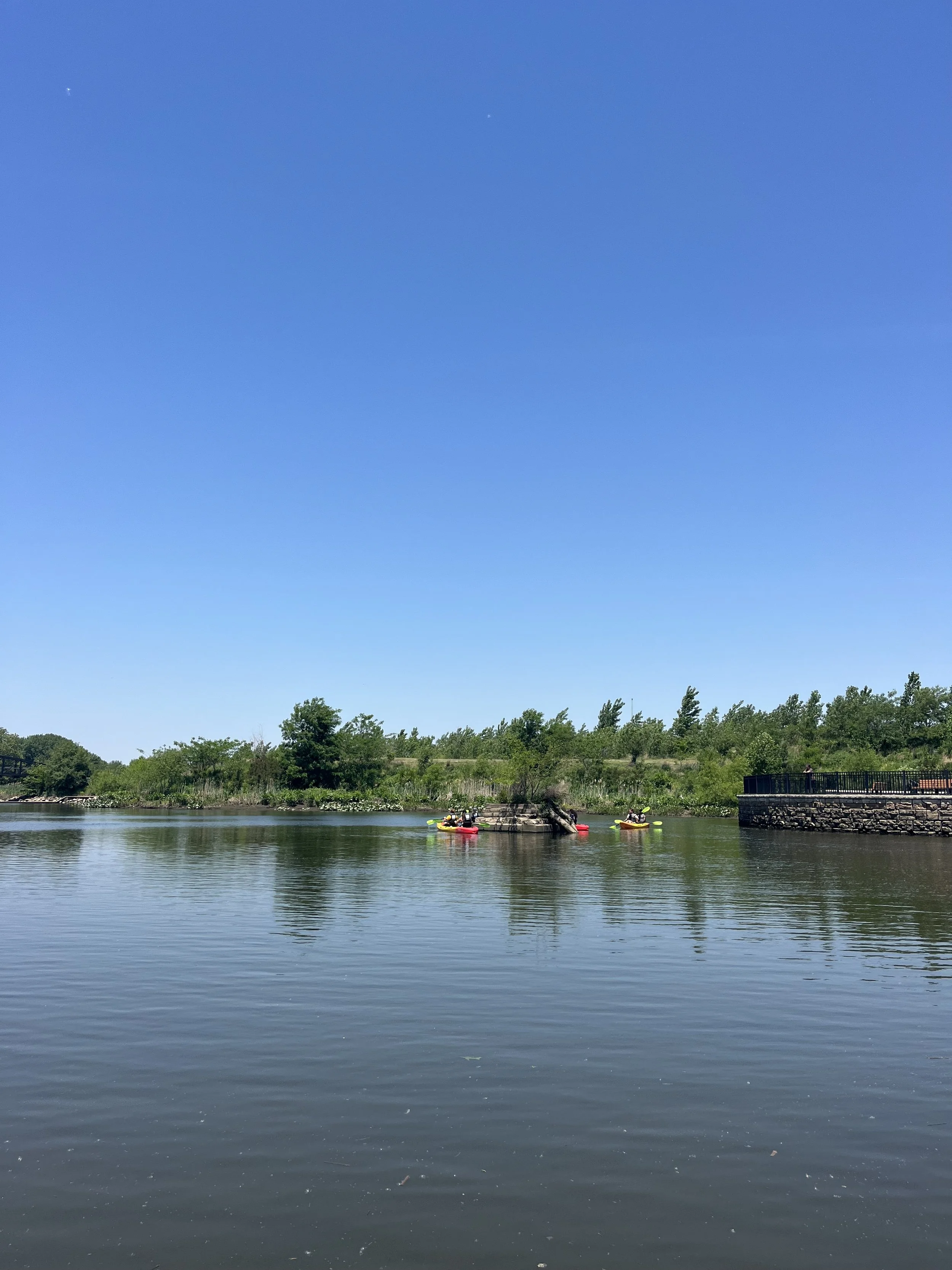 IMG_9294.jpeg