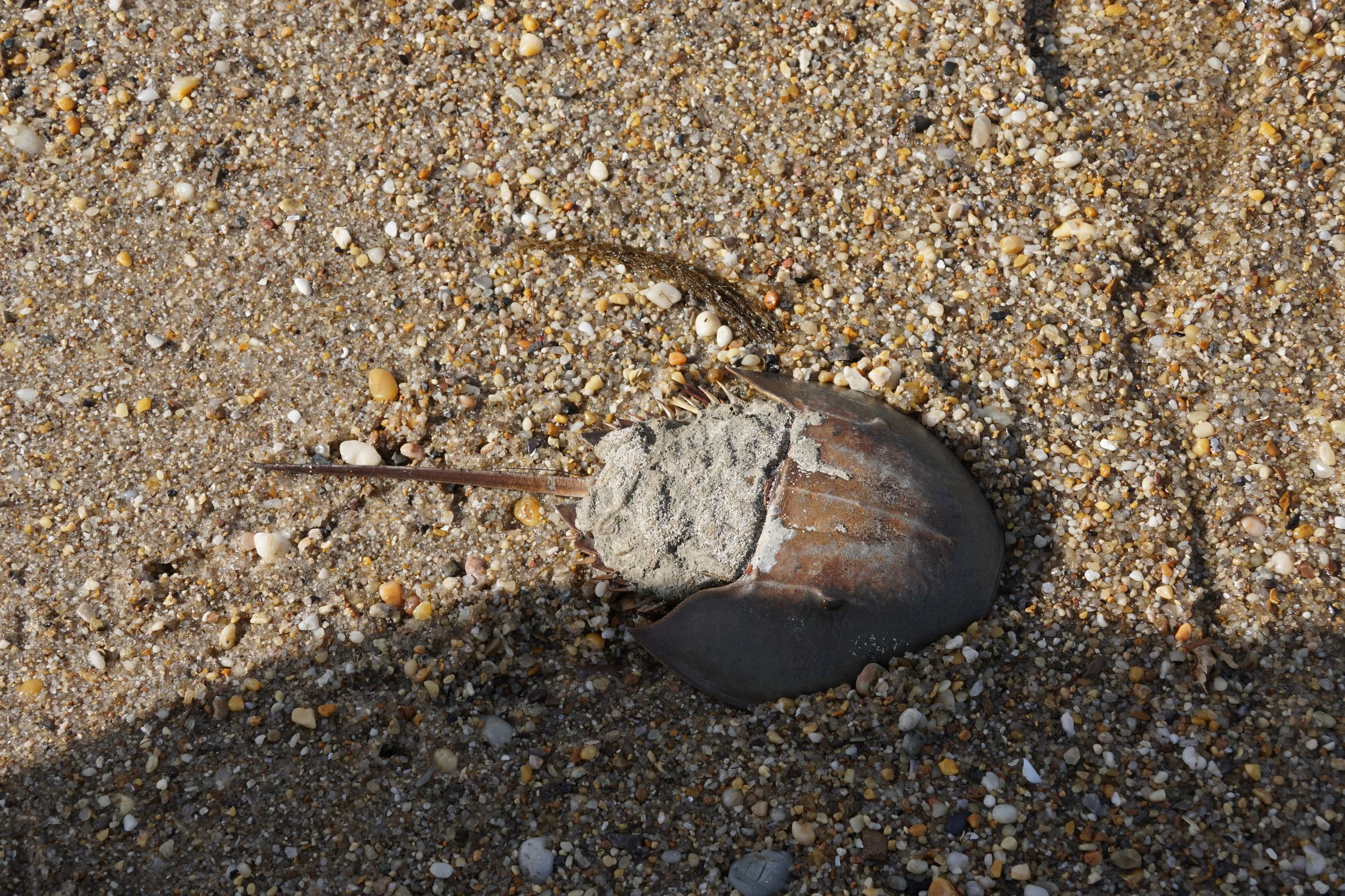 DSC01602.JPG