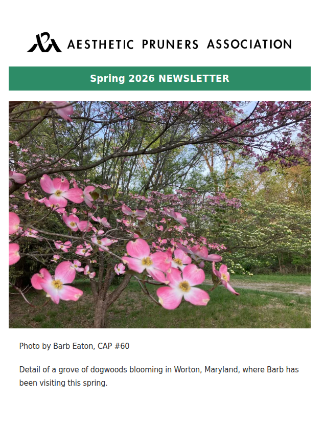 SPRING 2026