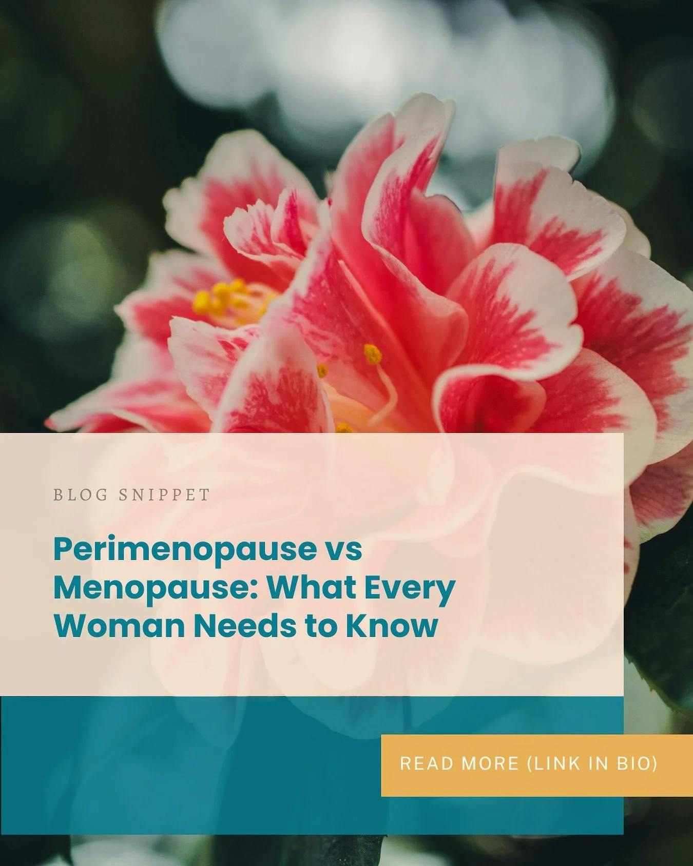 Have you ever wondered if you&rsquo;re in menopause or perimenopause?

Many women use the words interchangeably, but they&rsquo;re not the same. Confusion about this transition leaves countless women unprepared &mdash; thinking they&rsquo;re &ldquo;t