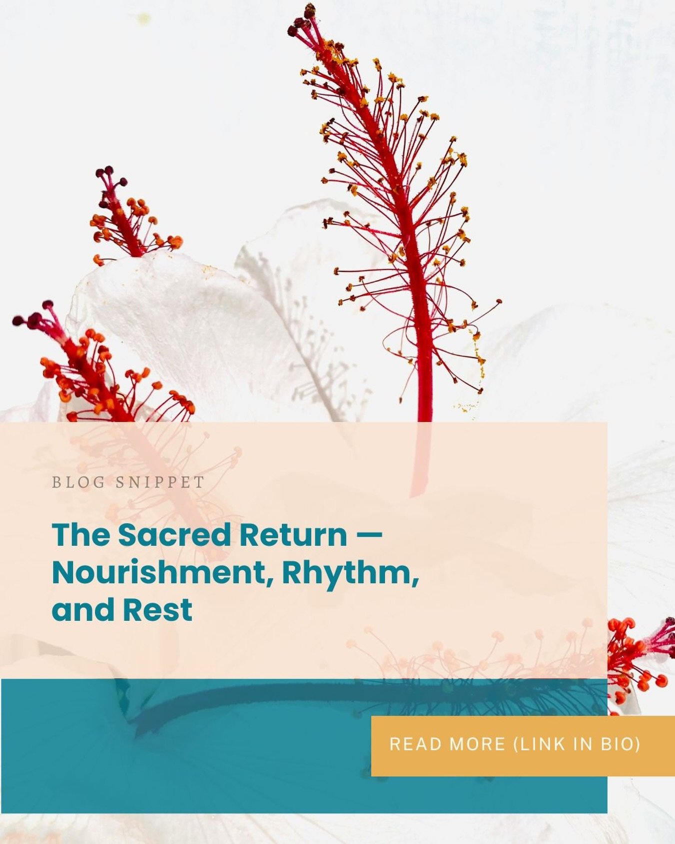 In a world that glorifies speed and achievement, nourishment has become an afterthought. Meals are rushed, snacks replace rest, and our relationship with food often carries guilt or confusion. Yet when it comes to womb healing, nourishment is the fou