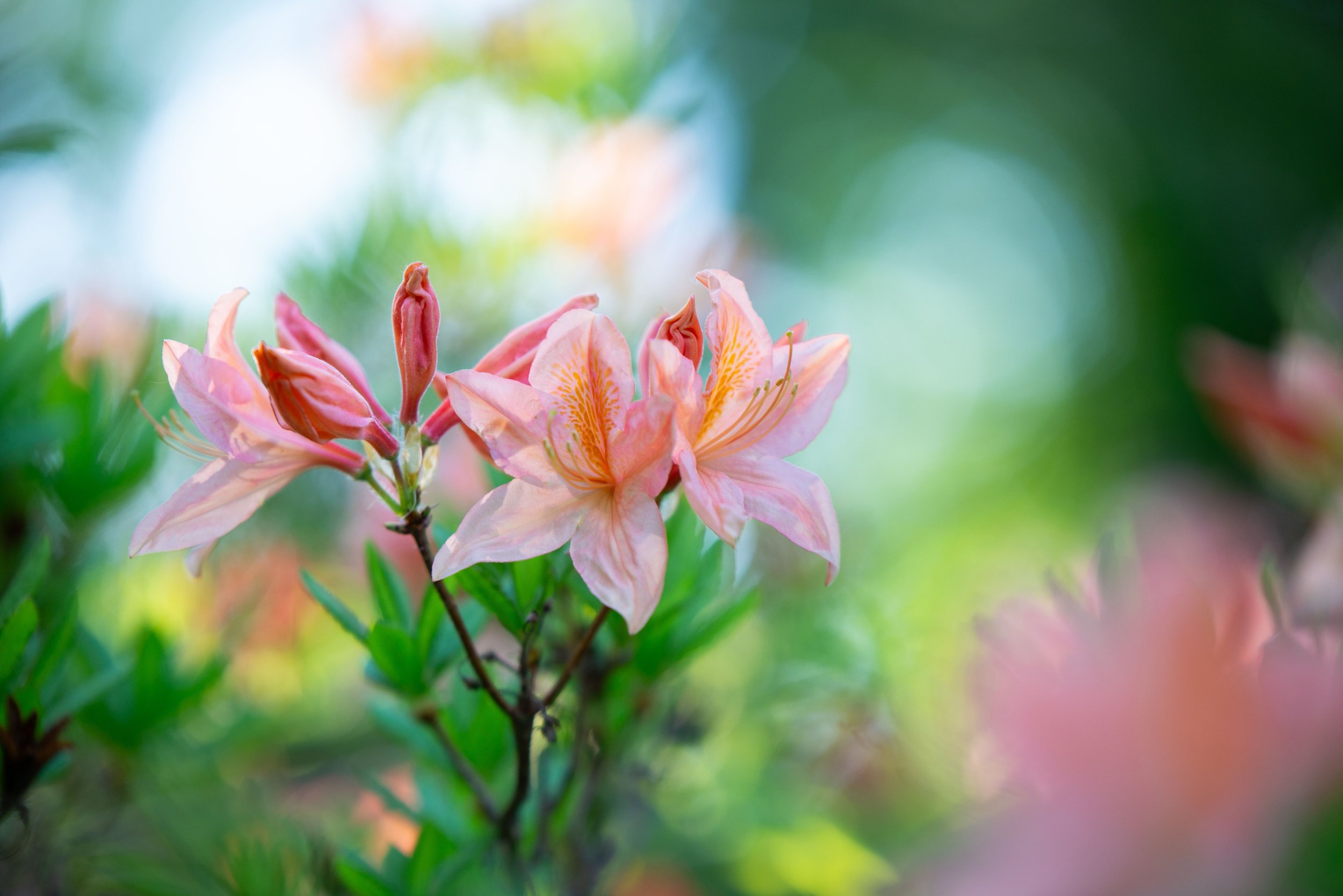 Can Shame Affect Your Pelvic Health? Understanding the Mind-Body Connection