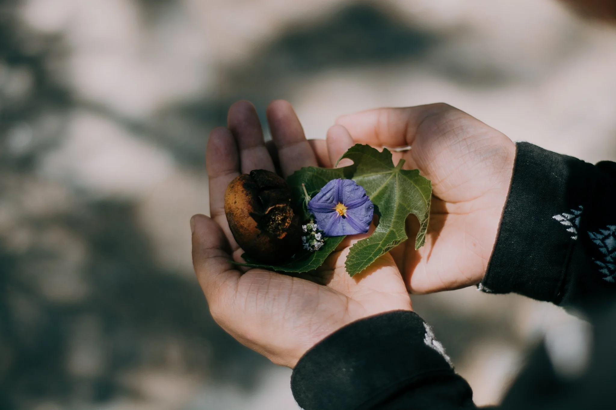 Can Childhood Trauma Affect Your Reproductive Health?