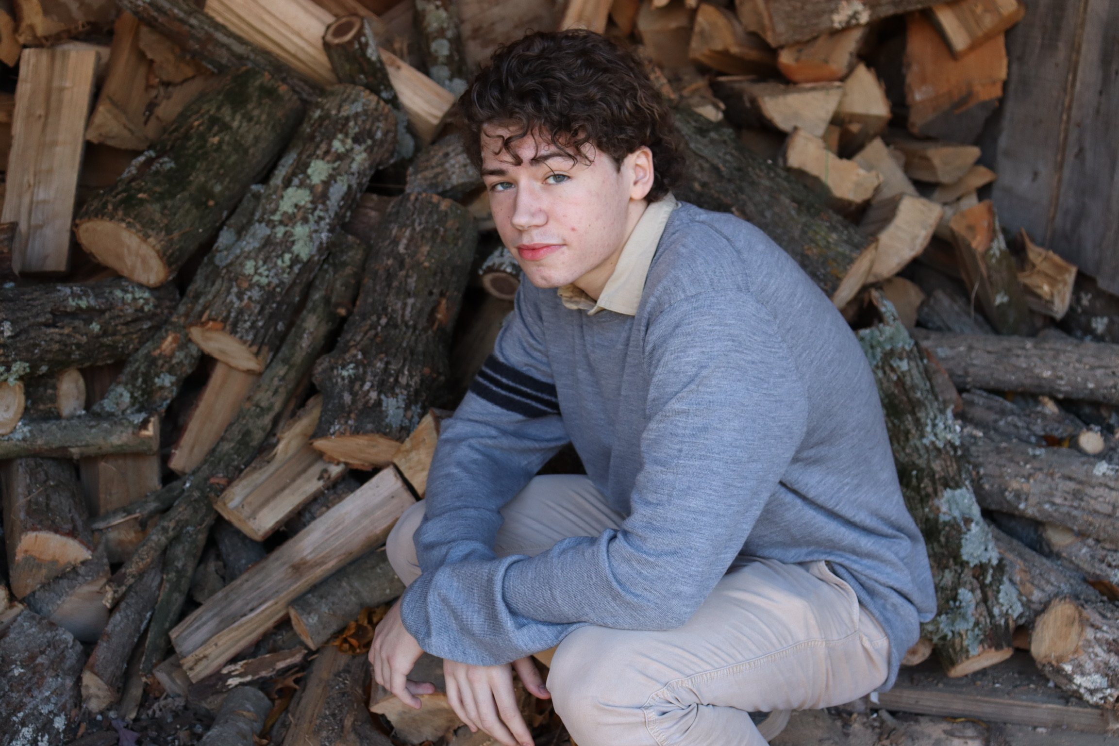 wood and logs 2.JPG