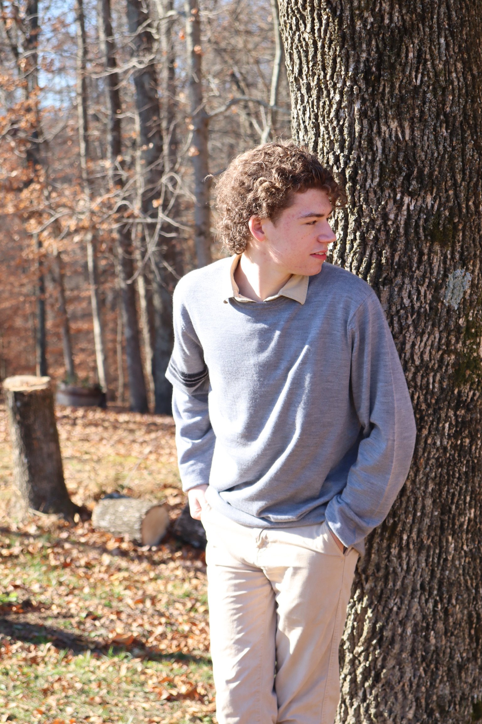 tree leaning.JPG