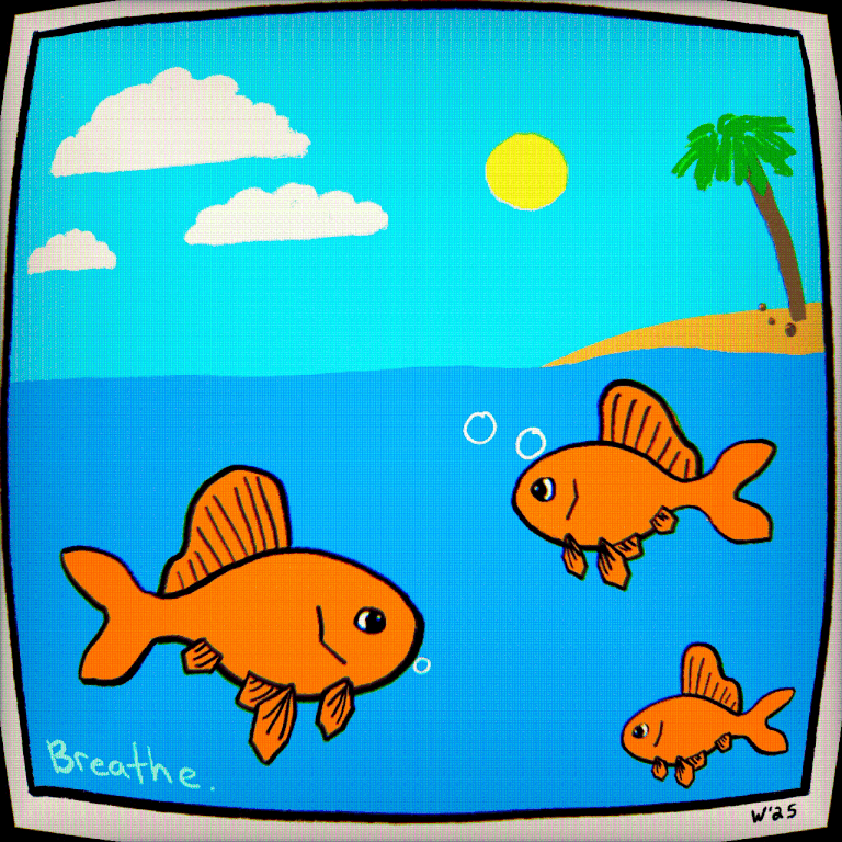 IMG_4371.gif