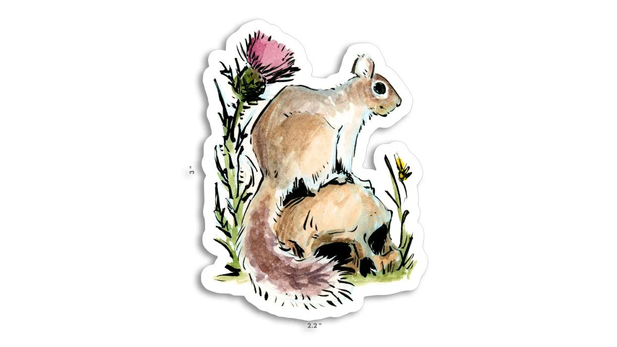 Squirrel on Skull Sticker — Aaron Miller Illustration