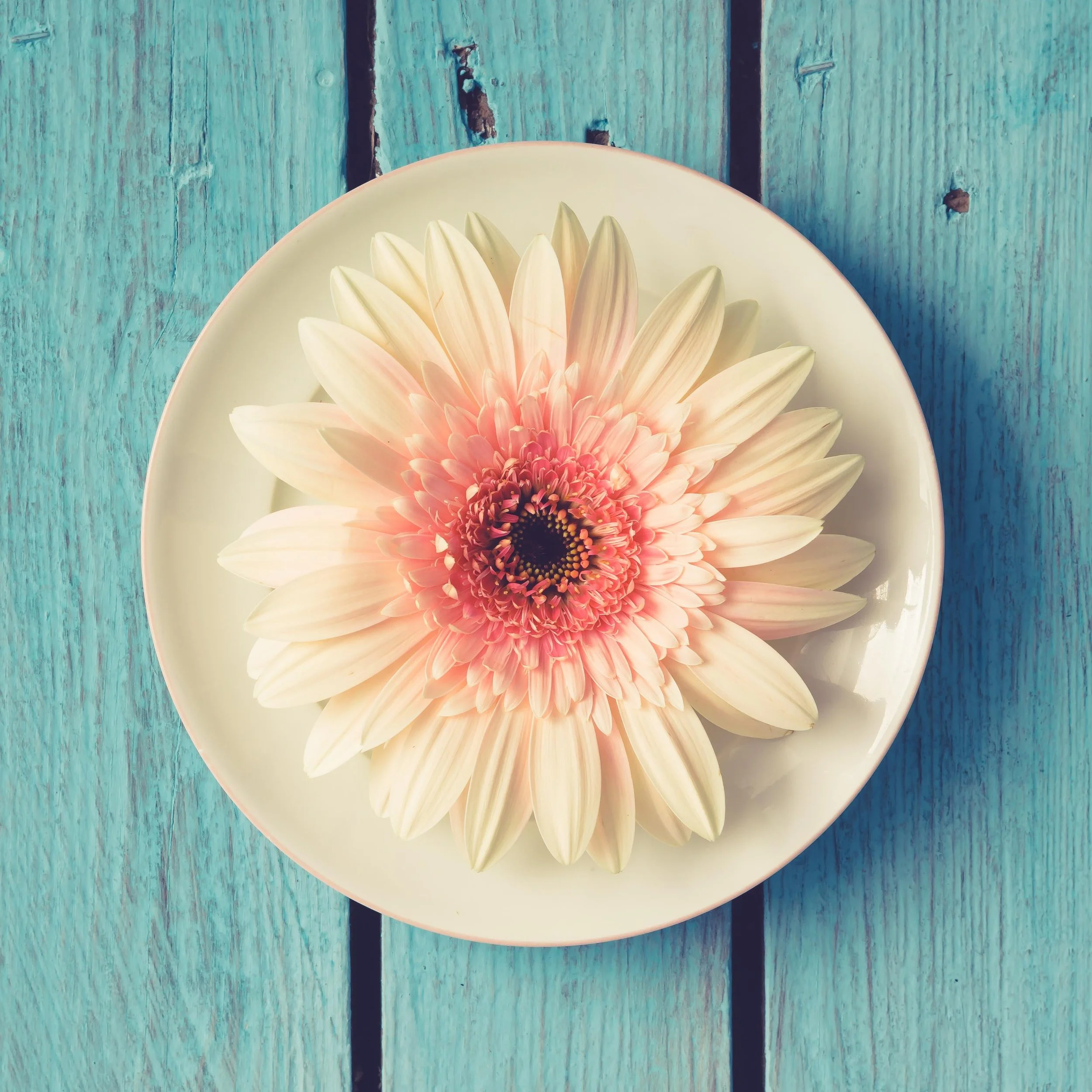 flowers make pretty