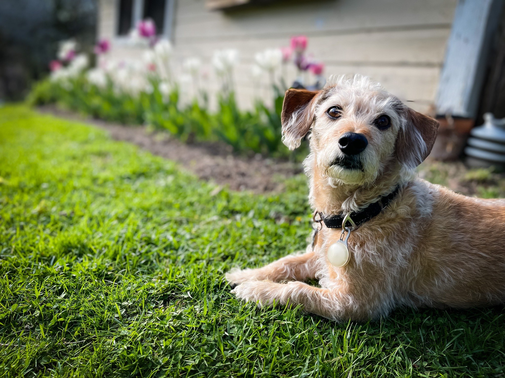 Spring is here 🌷
(and these two are so ready for it)

What&rsquo;s been helping you breathe a little easier right now?

Around this time every year, we start hearing the same thing:
&ldquo;I feel so stuffy&rdquo;
&ldquo;I can&rsquo;t breathe through