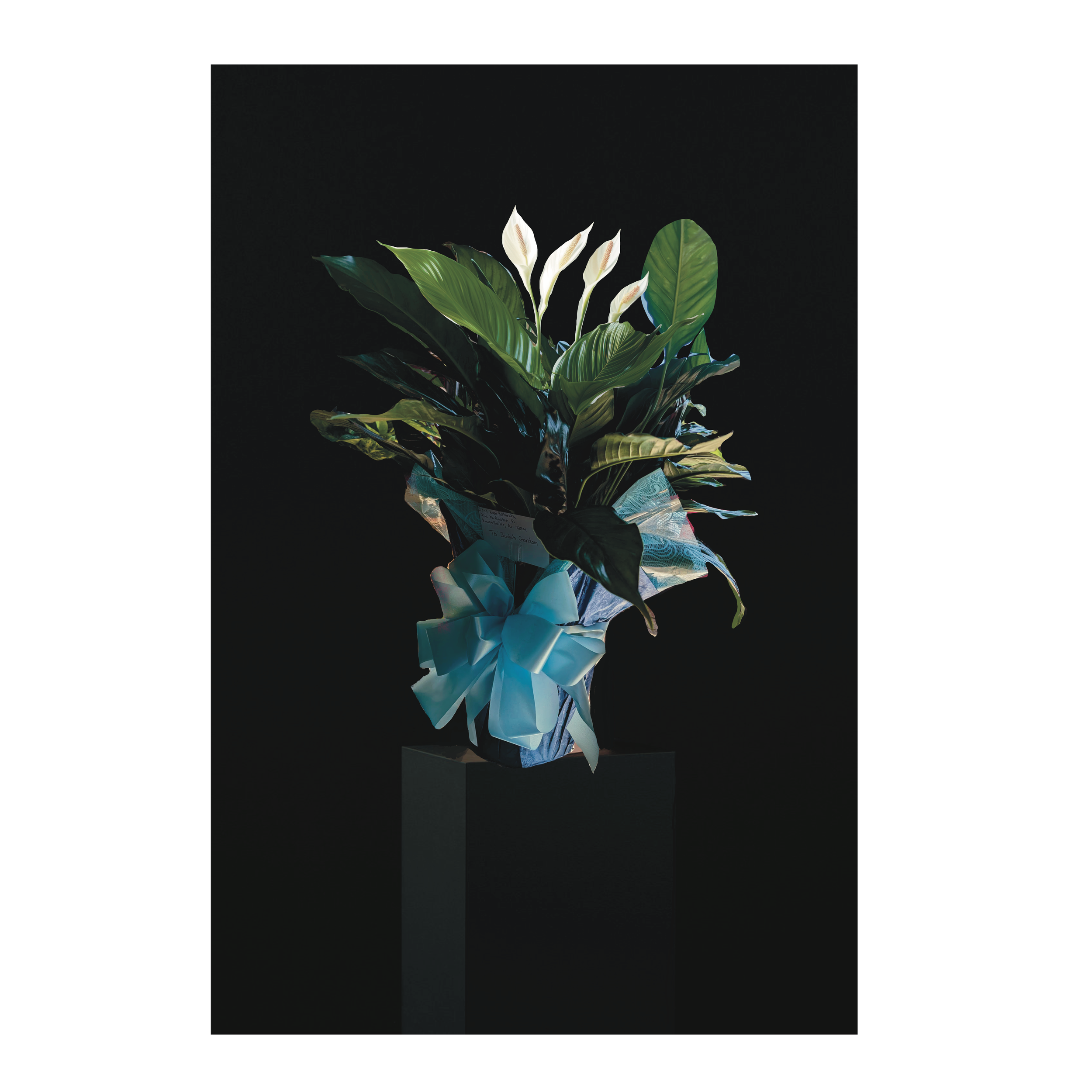F5D290CA-8E4B-43CC-91B5-74A12F69F015.png